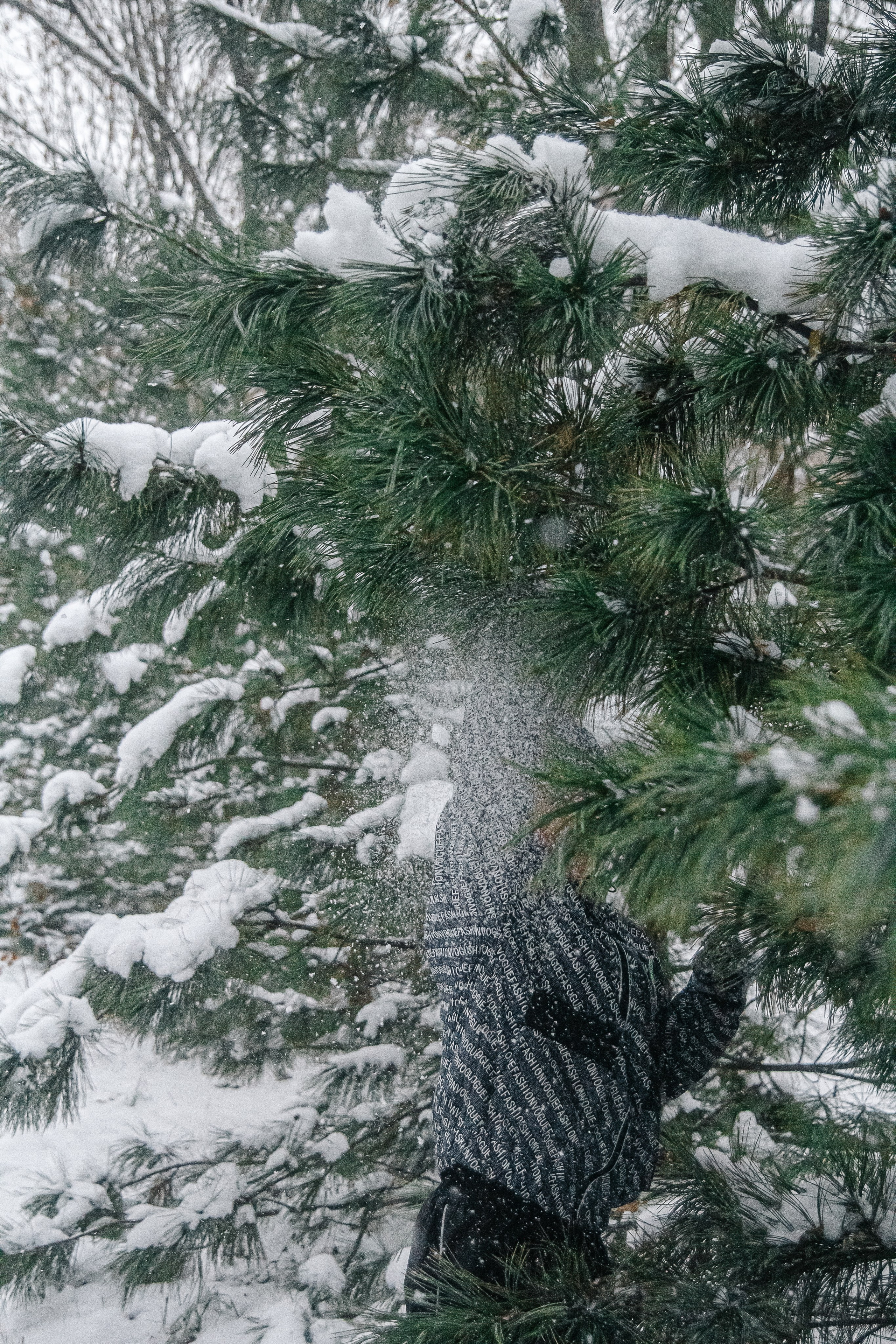 Первый снег 24. Фотограф в Хабаровске Юлия Чванова
