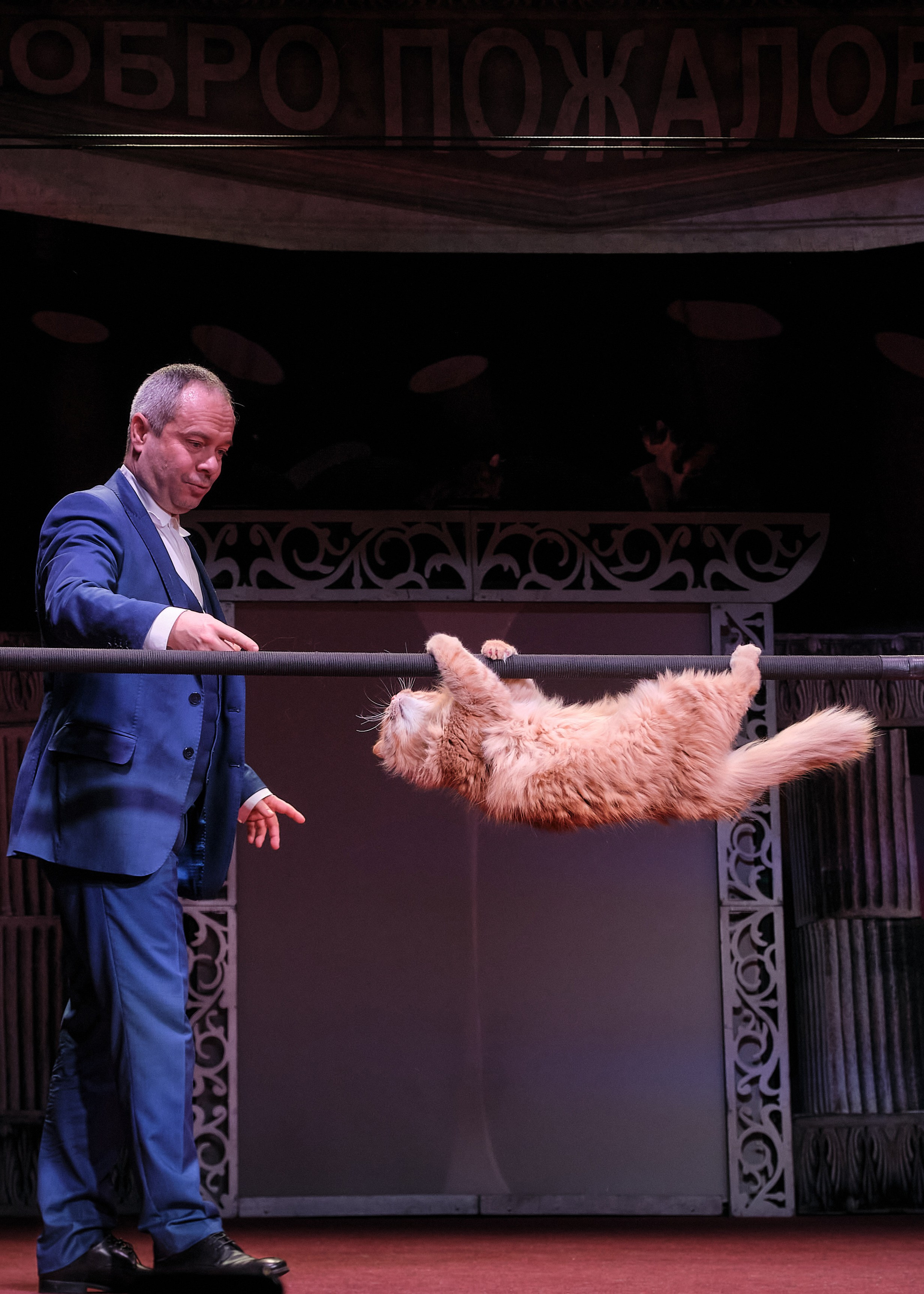 Пресс-конференция Ю.Куклачева в театре кошек