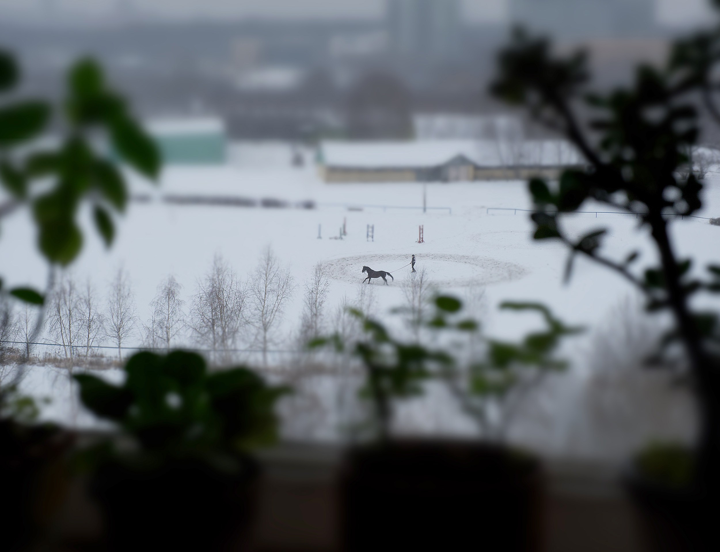 Фотографии сделанные на улицах городов. Профессиональный фотограф Игорь Пискарев в Москве. Студийная и выездная съёмка. Портретная и предметная съёмка. Авторская фотография