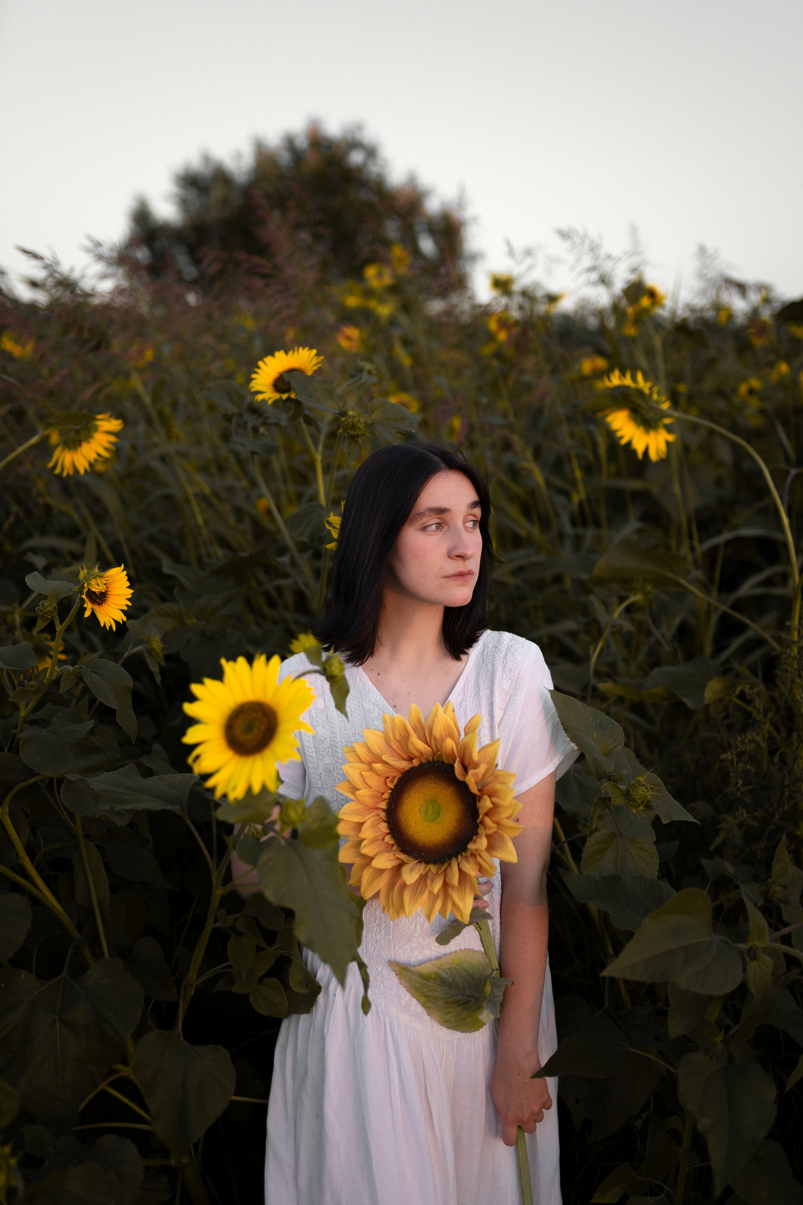 Станислава | Сбор урожая. Фотограф Владимир Дудукалов