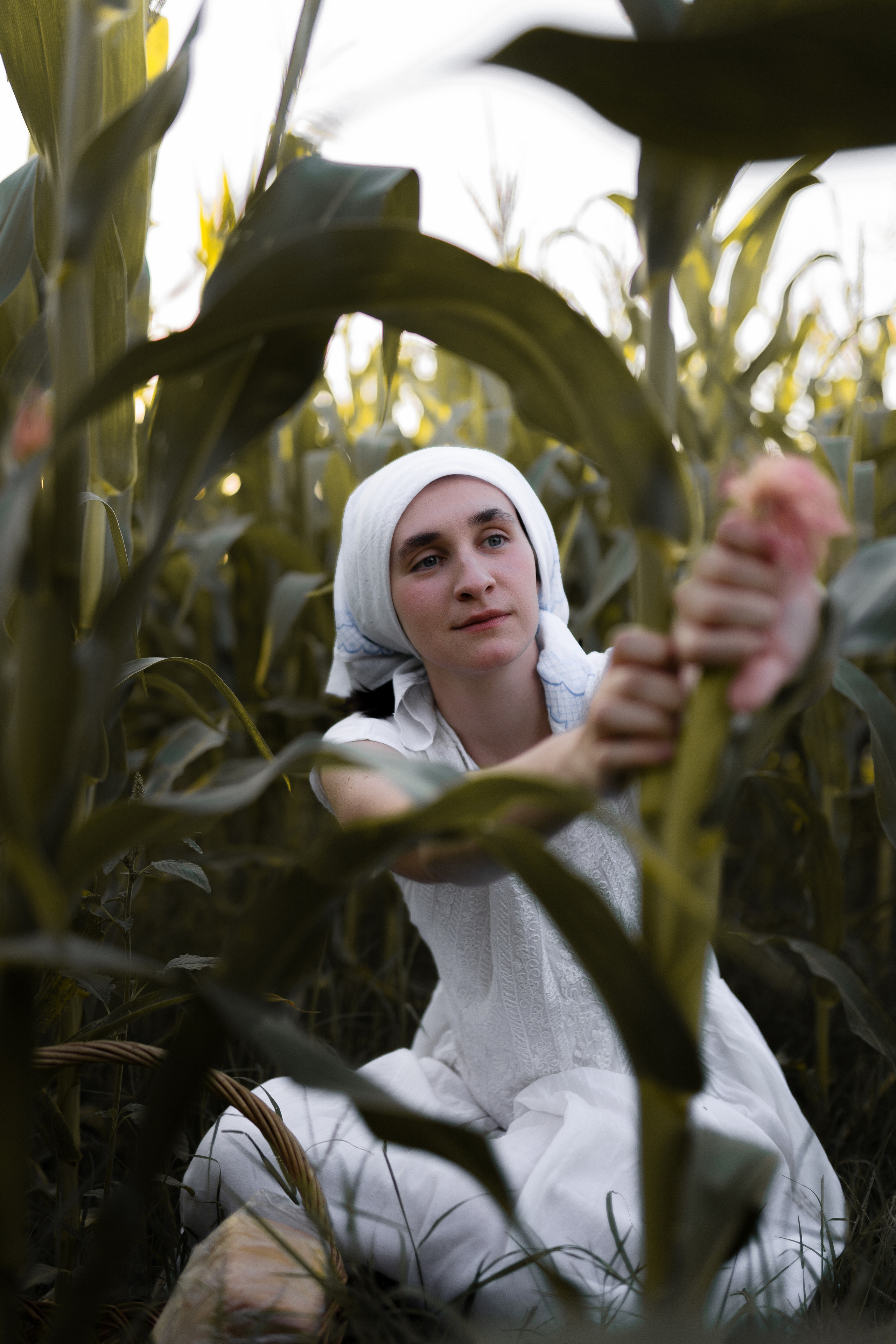 Станислава | Сбор урожая. Фотограф Владимир Дудукалов