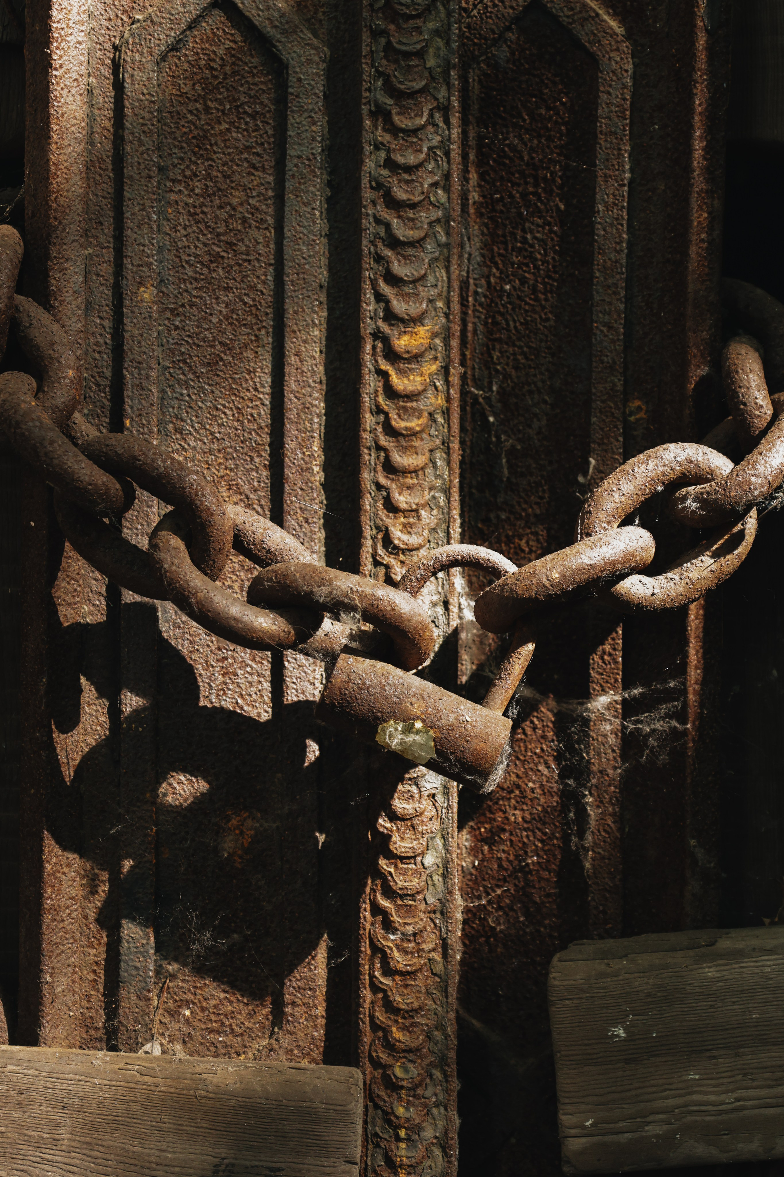 Экскурсии Агутэр Бэтэр. Света Голобородько, фудфотограф в Санкт-Петербурге