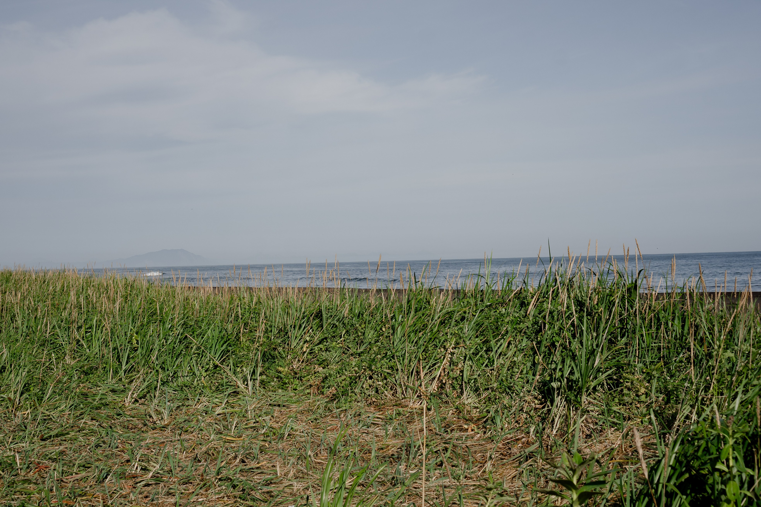 Мыс Маячный на Камчатке. Профессиональный фотограф, Санкт-Петербург — Виктория Богомолова