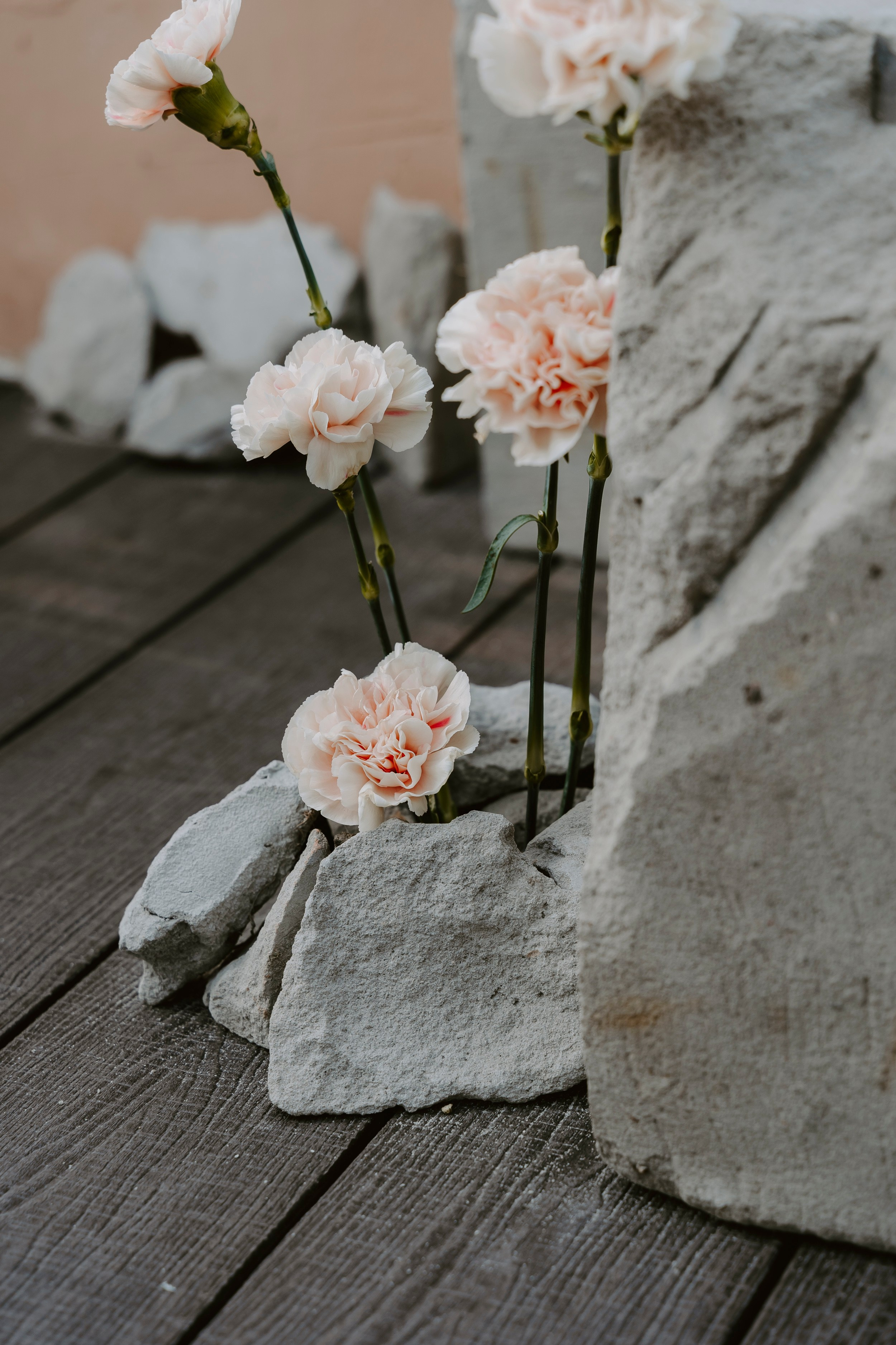 ДЫМЗАВОД. Фотограф первого впечатления