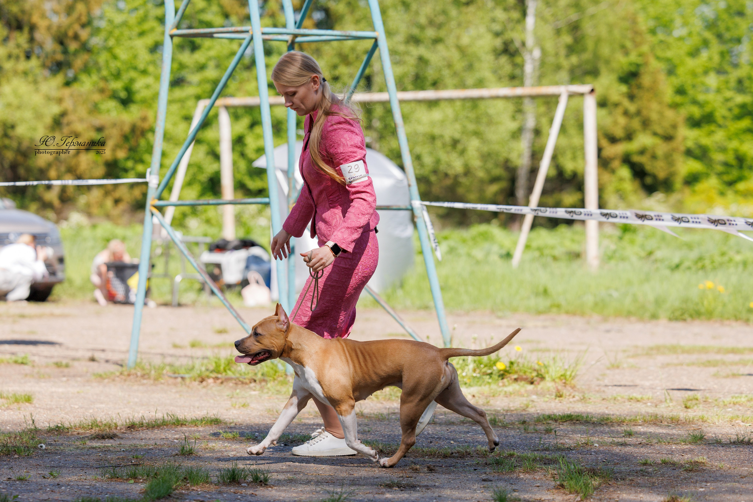 Тверь 24.05.2025. Фотограф-анималист Юлия Германика