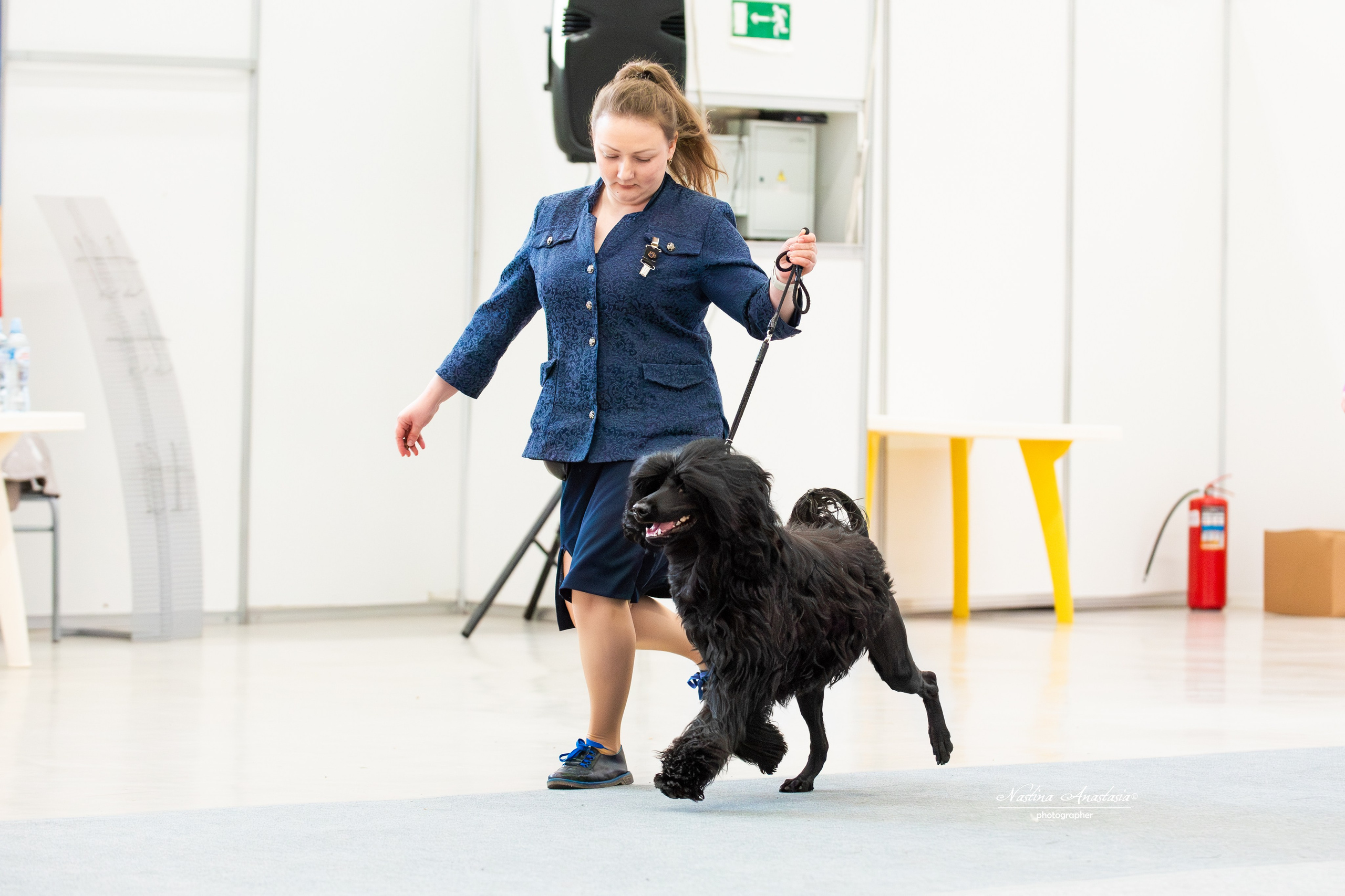 Выставки. Фотограф — Анималист