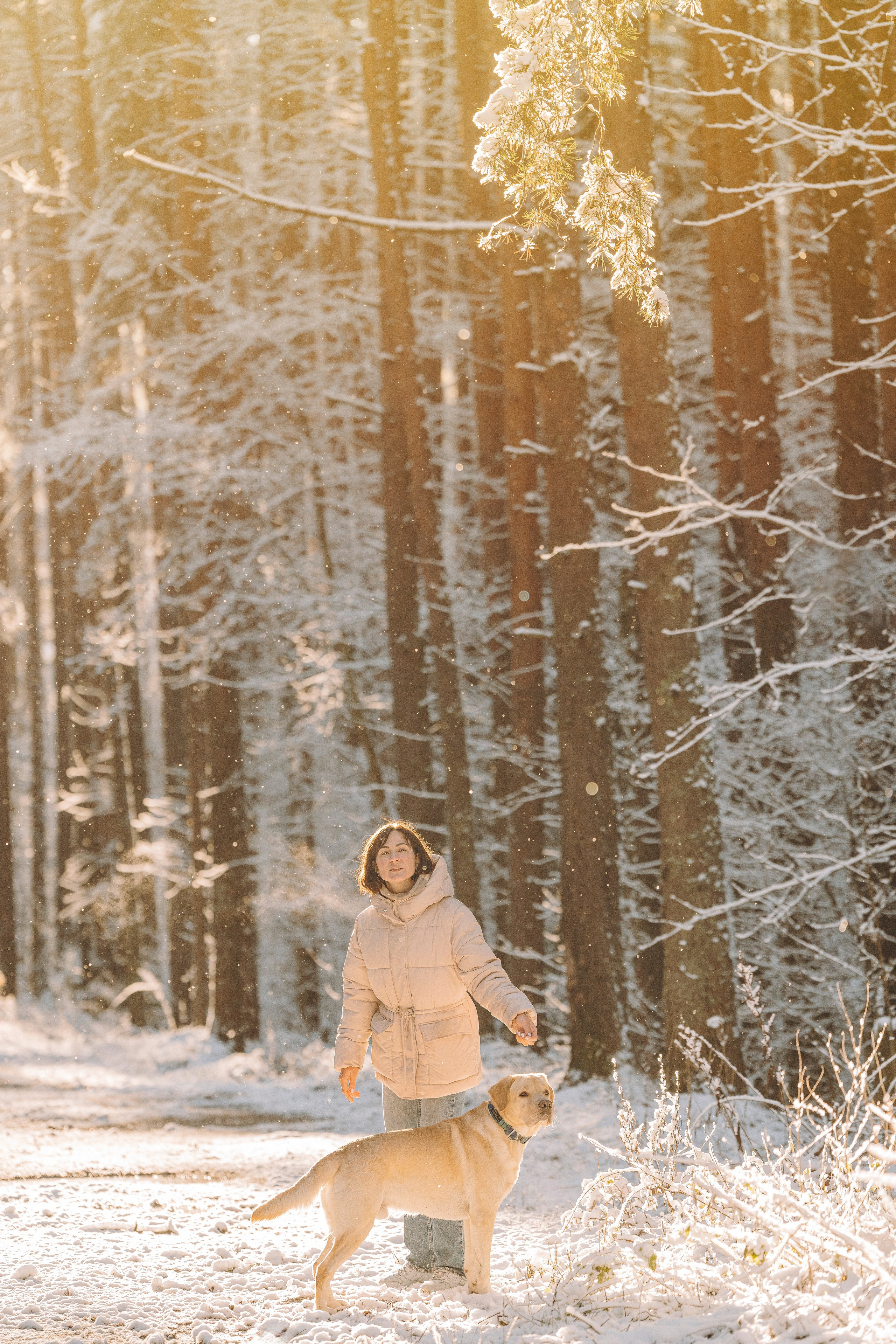 Аня и Честер. Фотограф анималист в Спб недорого Олеся Майорова