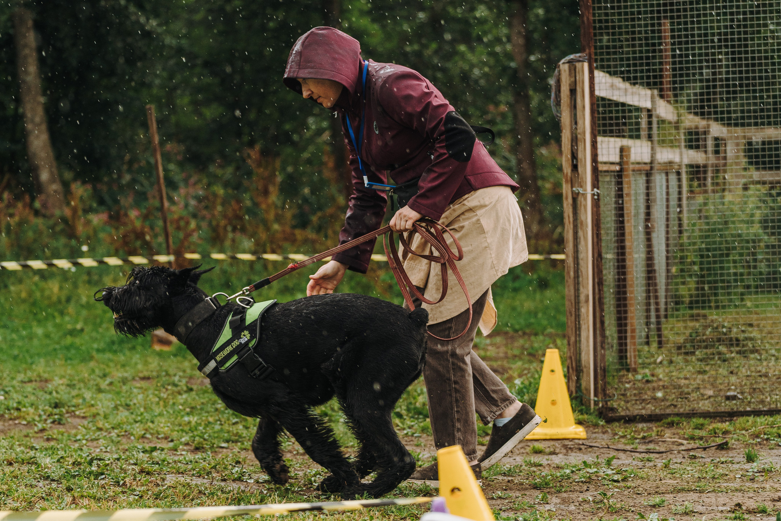 Соревнования по ноузворку в Новожилово. Фотограф анималист в Спб недорого Олеся Майорова