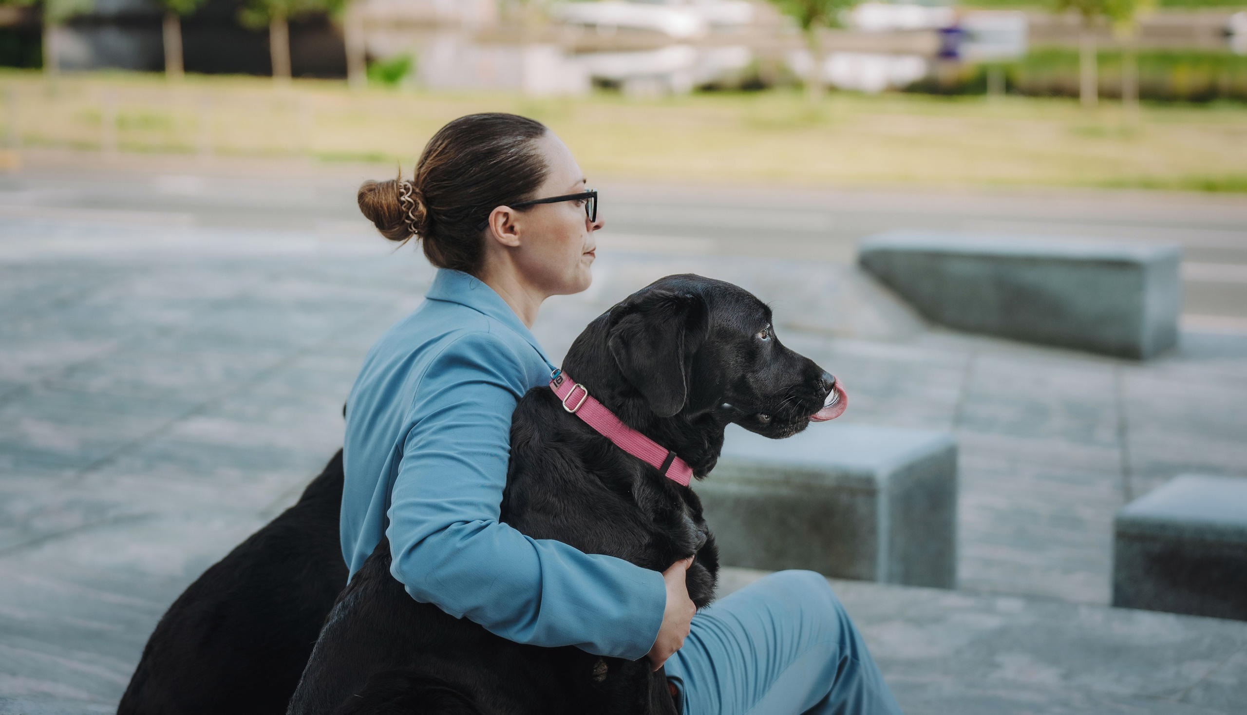 Лабрадоры питомника IRISLAV. Фотограф анималист в Спб недорого Олеся Майорова