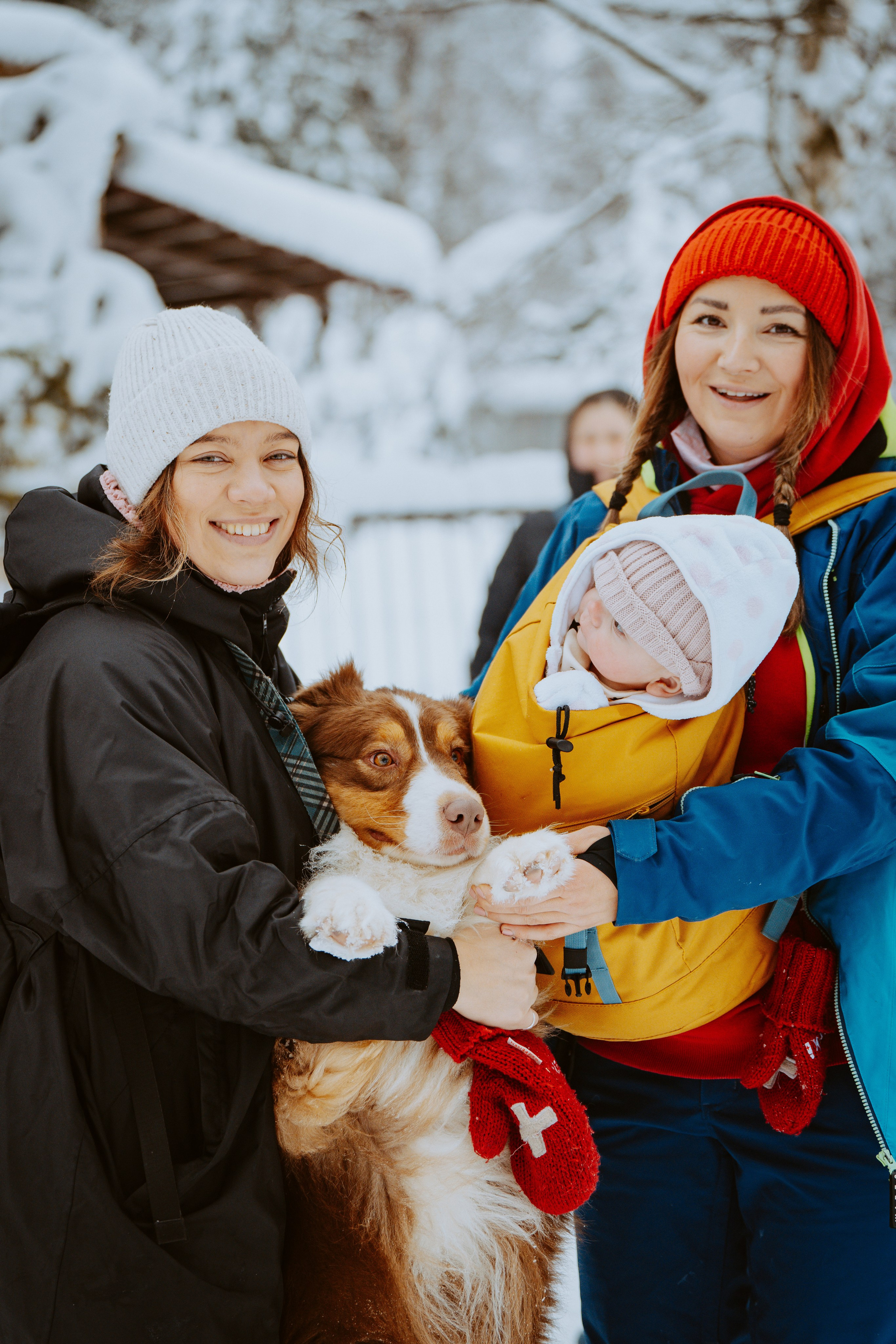 Дог трекинг. Фотограф анималист в Спб недорого Олеся Майорова