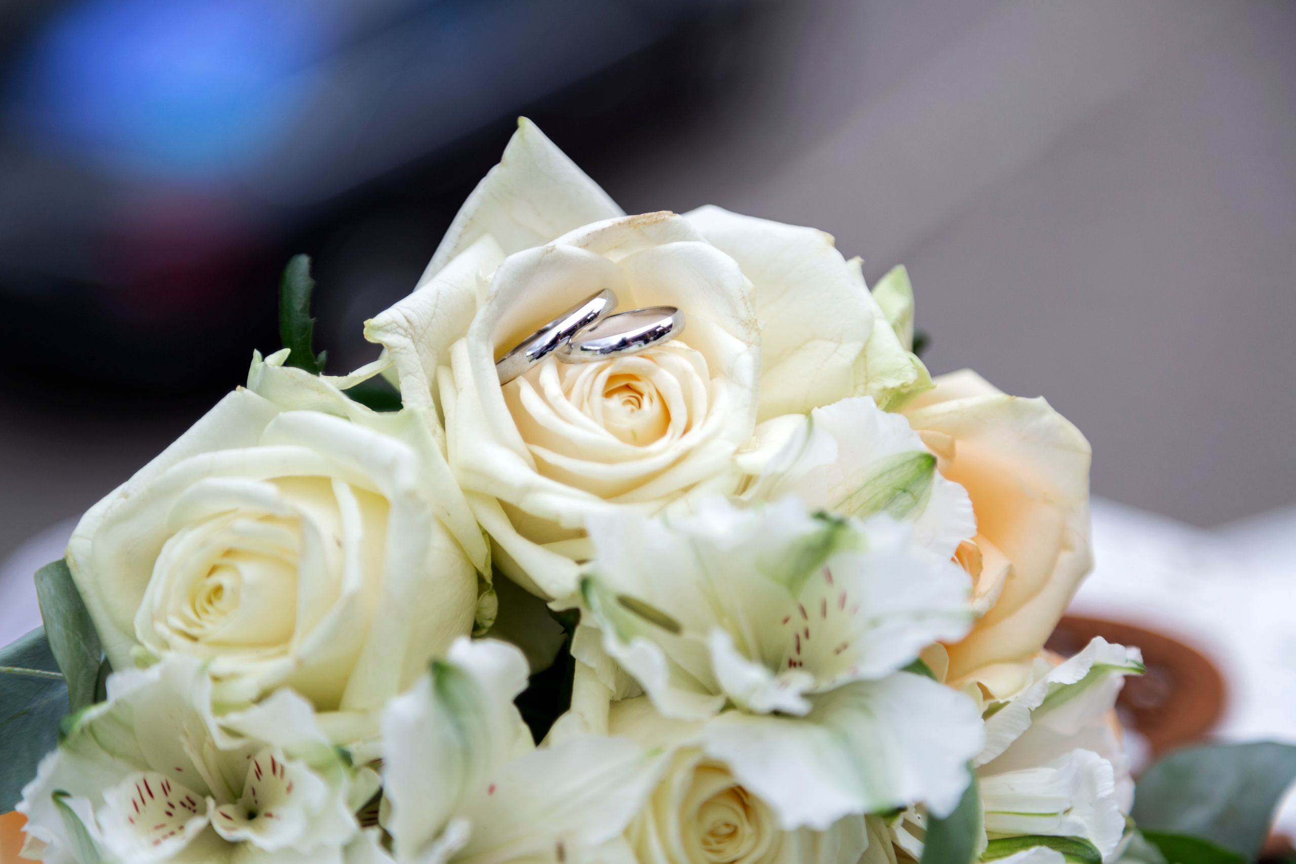 Александр и Виктория ~ Дмитров. Семейный и свадебный фотограф в Москве Татьяна Седлецкая