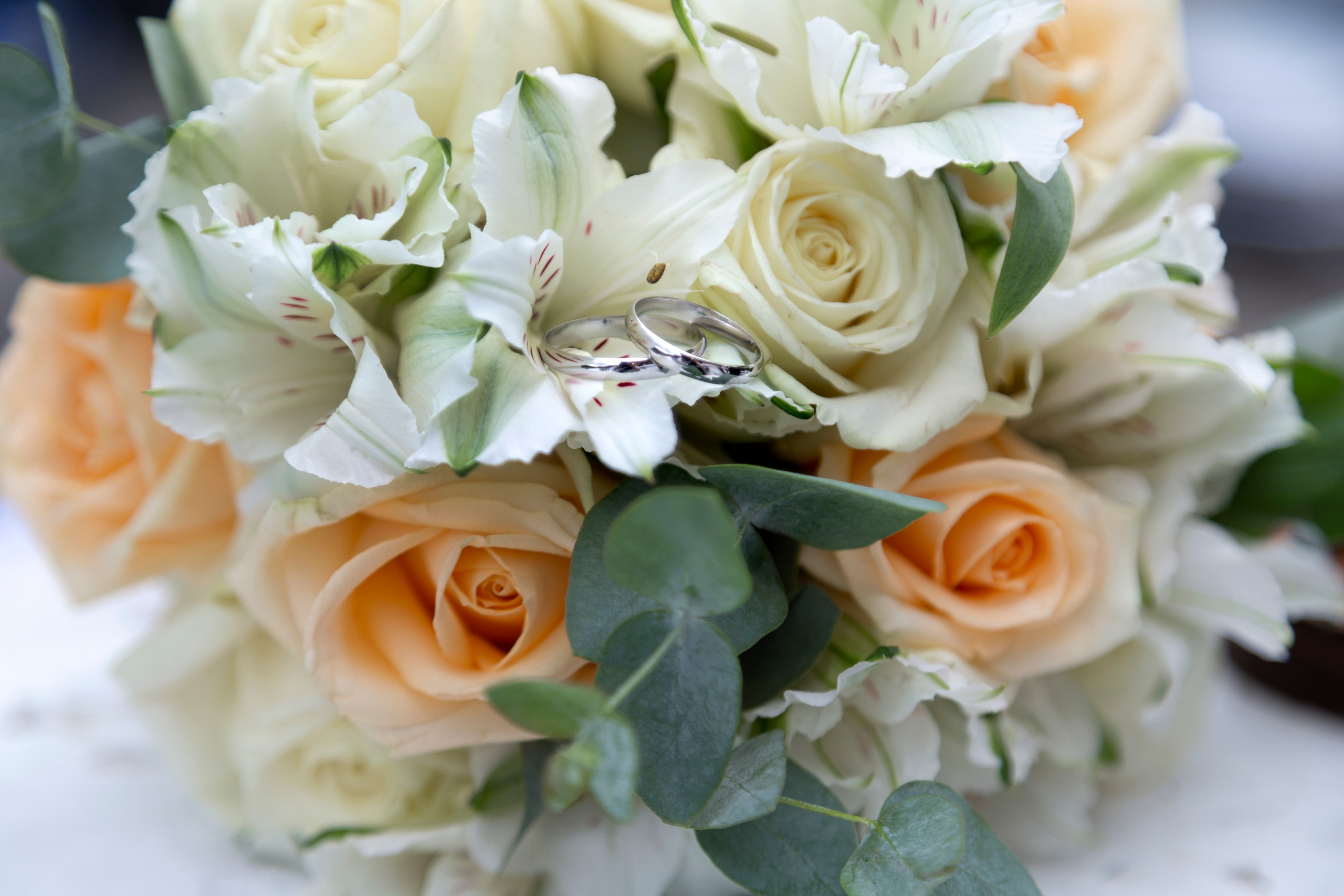 Александр и Виктория ~ Дмитров. Семейный и свадебный фотограф в Москве Татьяна Седлецкая