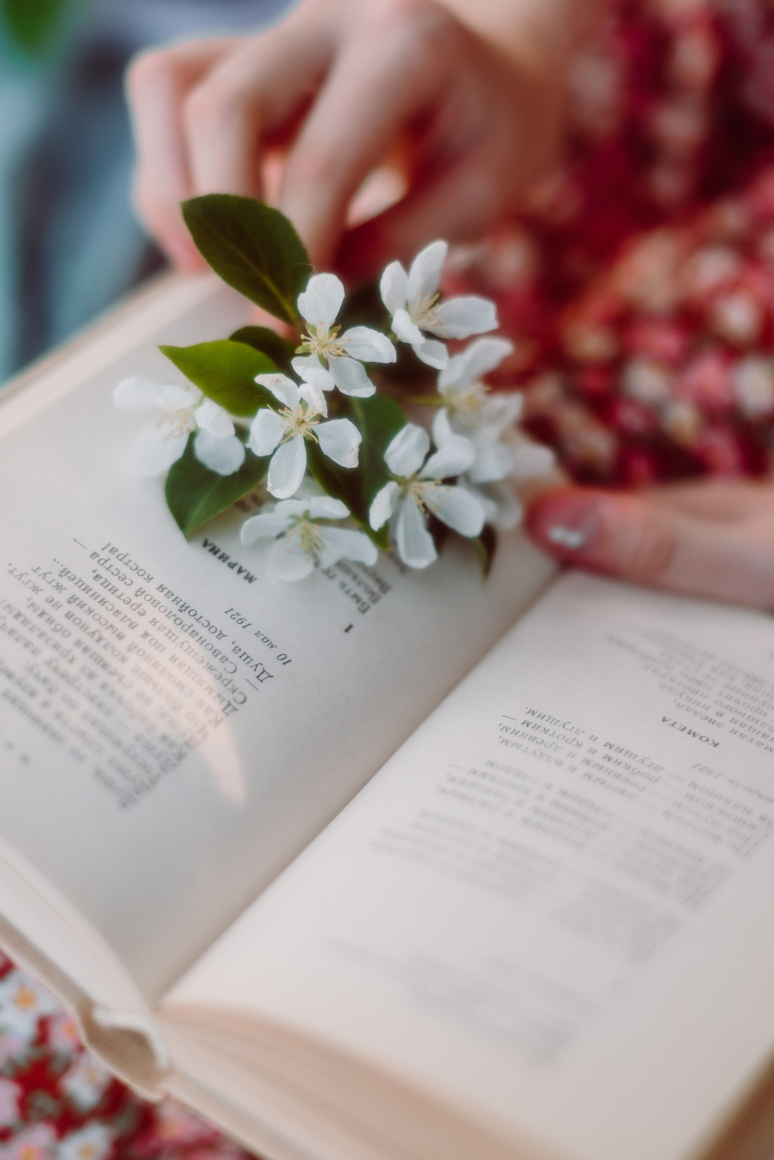 Фотосессия в цветущих яблонях в Кемерово