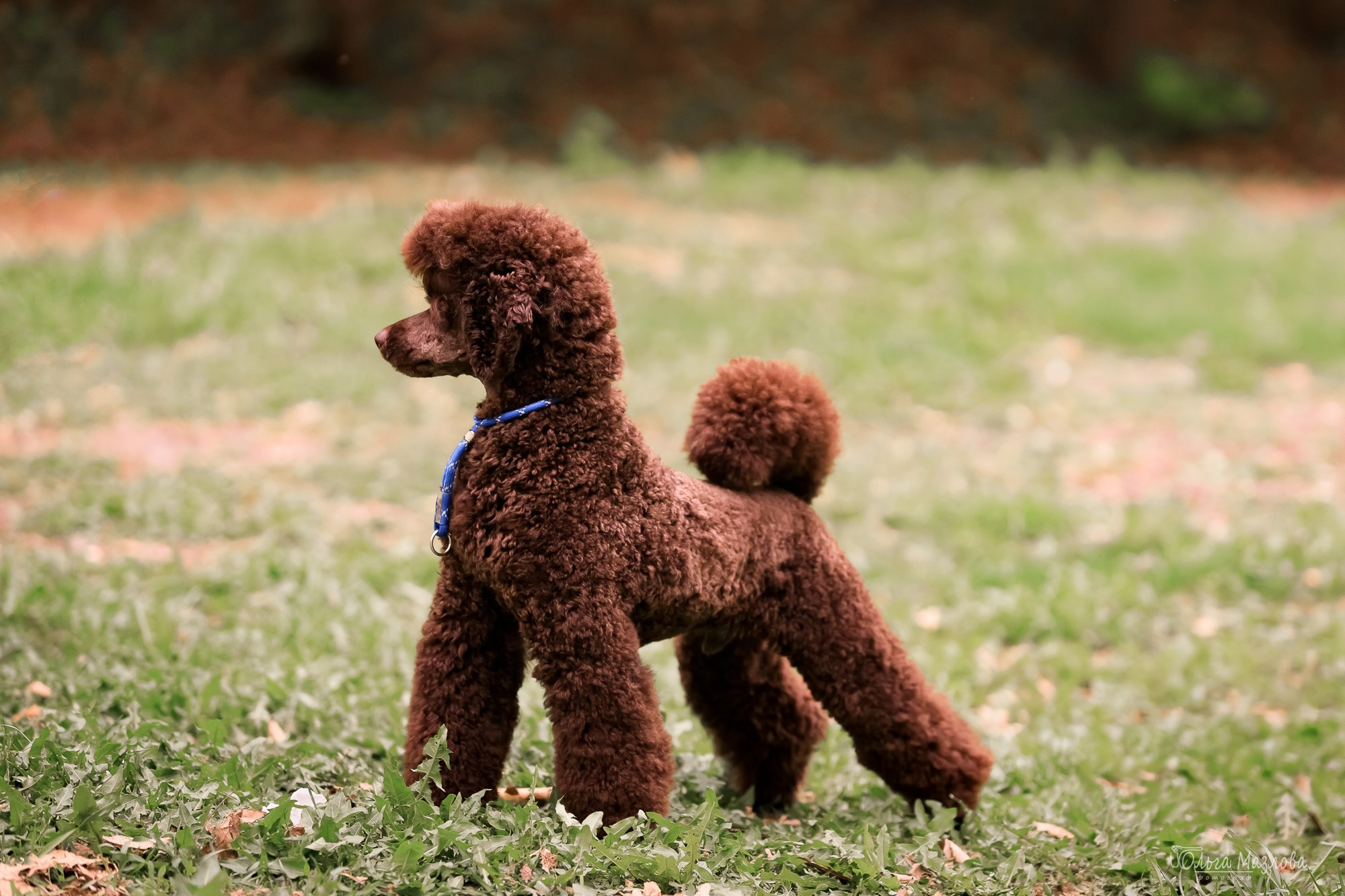 У санатория. Фотограф в Саратове Ольга Мазлова