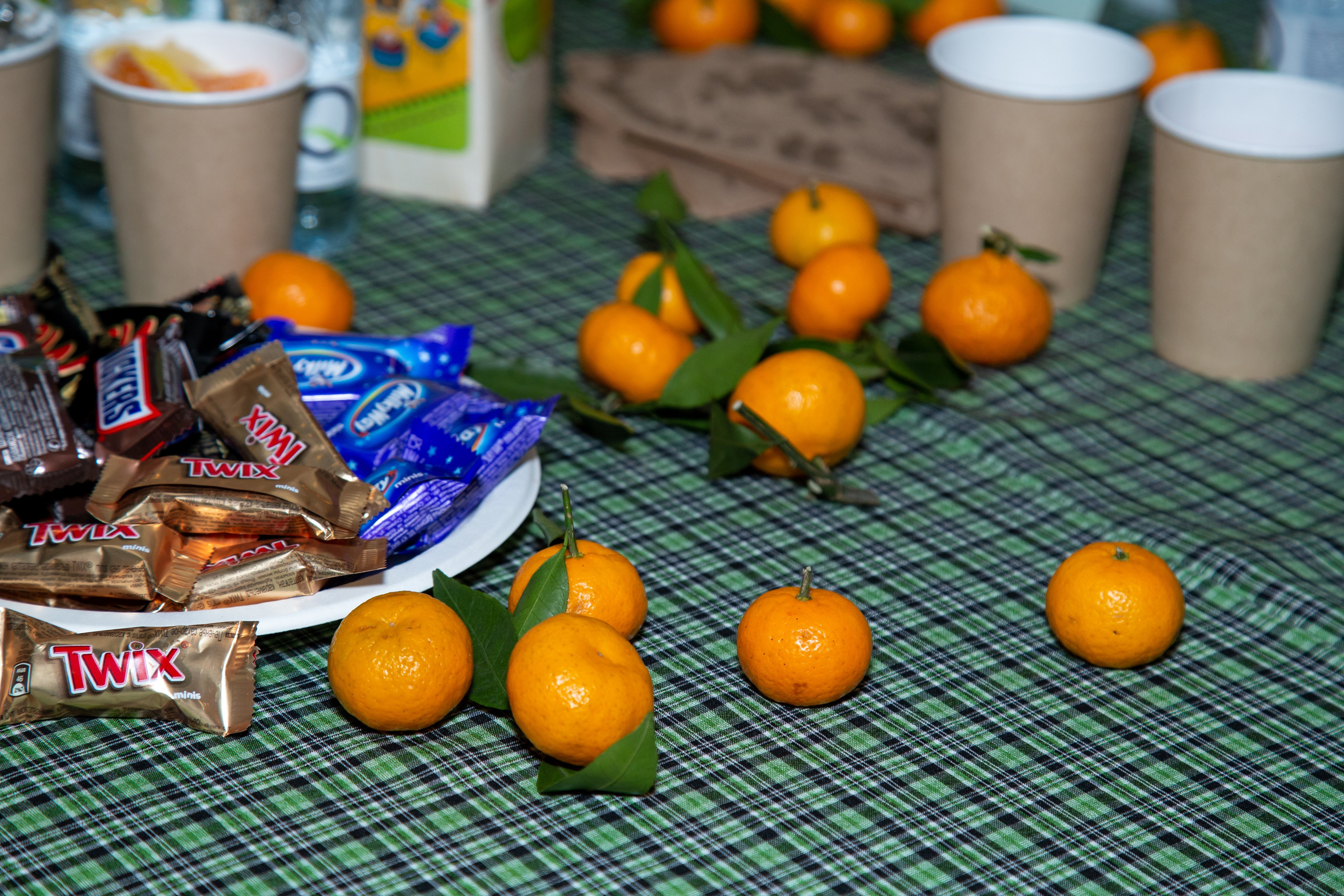 Репортажная съёмка для Домисольки на новый год. «Студия DRONAVT`s» — видеосъёмка и фотография г. Москва