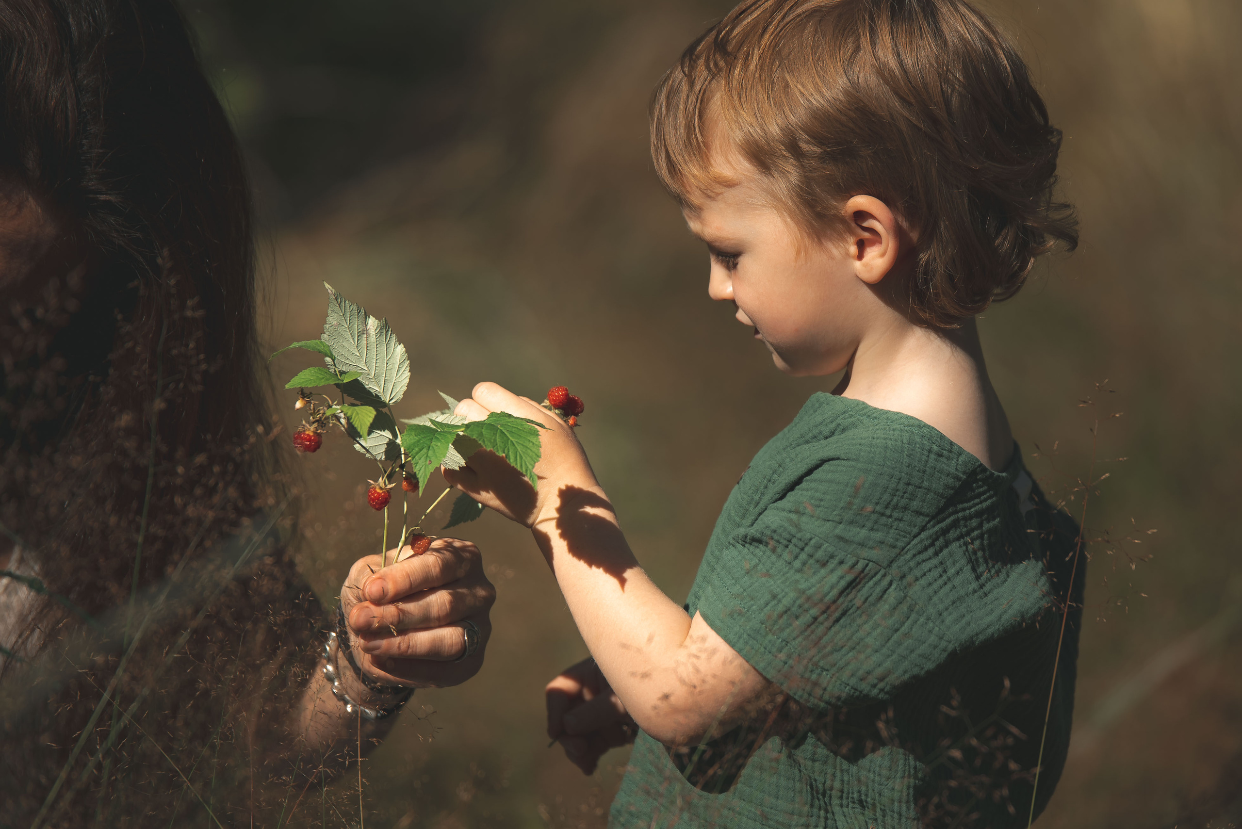 Золотое лето. Семейный фотограф в Санкт-Петербурге Ирина Мороз