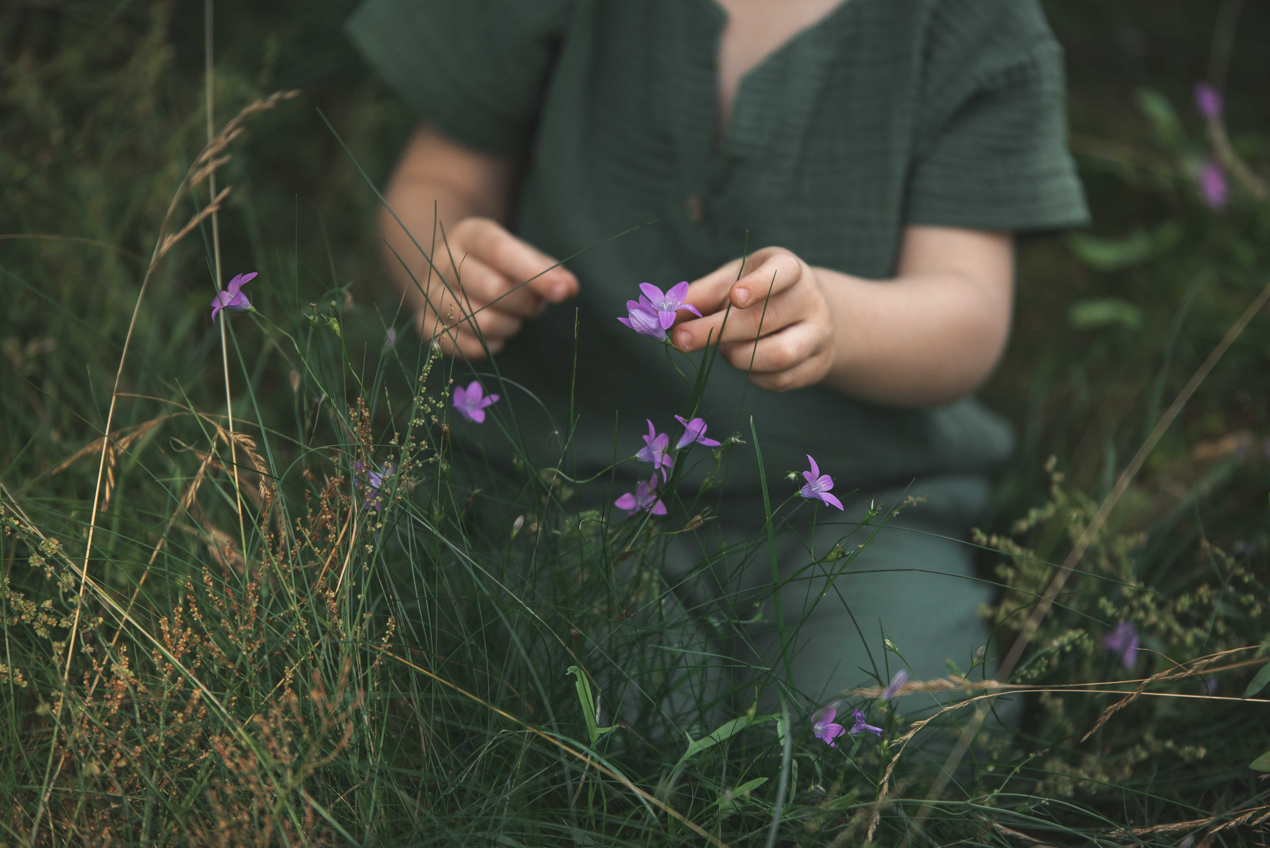 Золотое лето. Семейный фотограф в Санкт-Петербурге Ирина Мороз