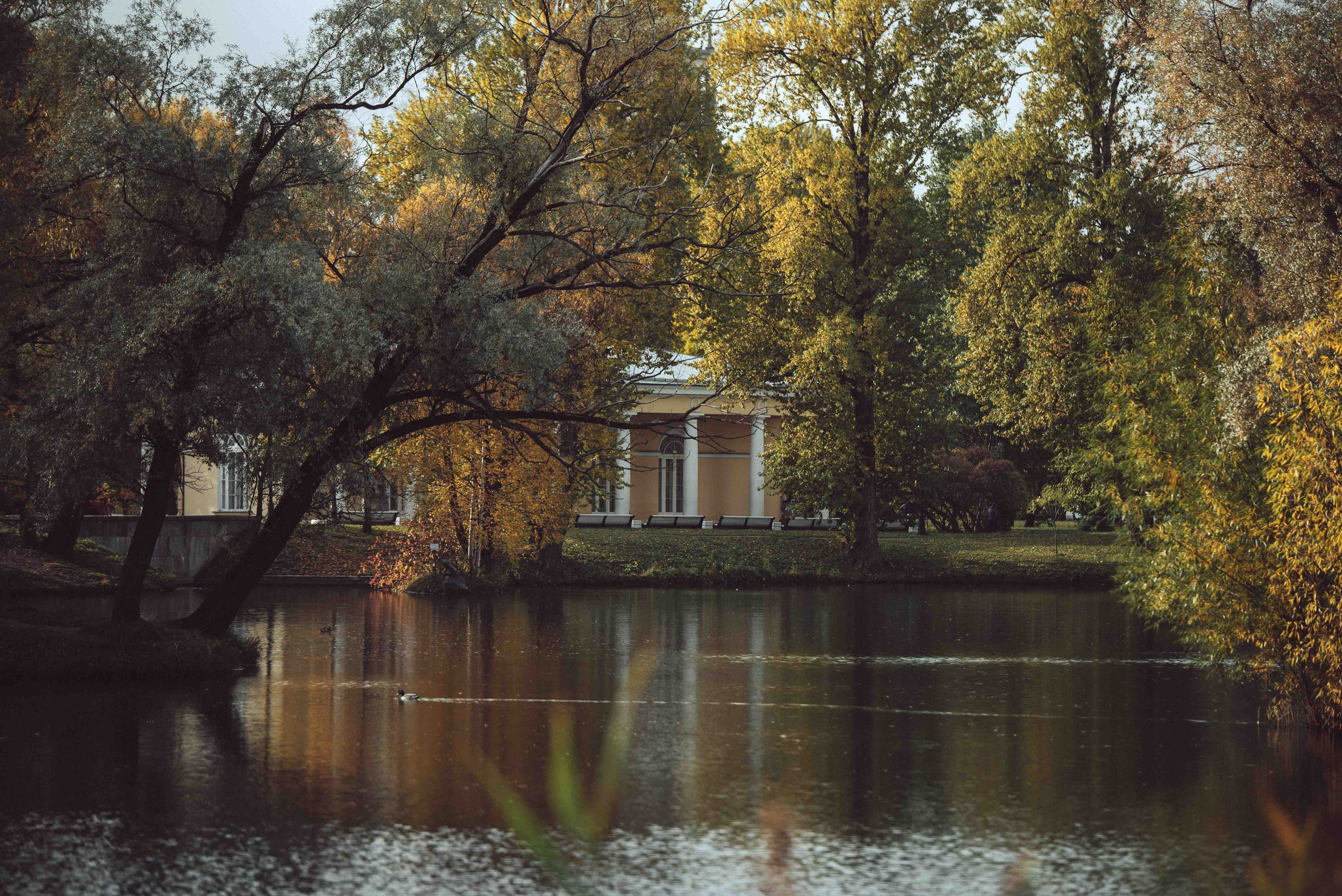 Осенняя прогулка. Семейный фотограф в Санкт-Петербурге Ирина Мороз