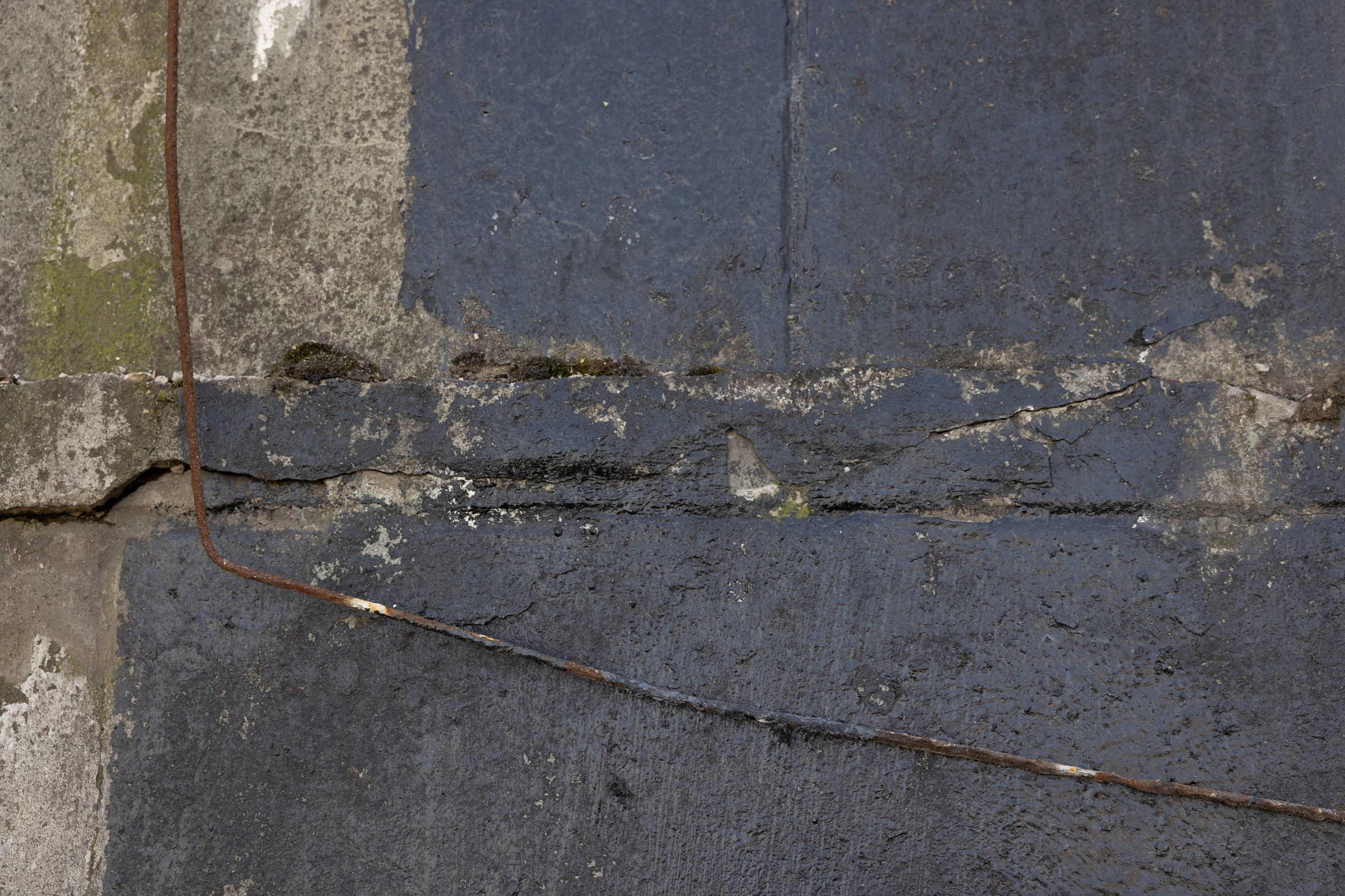 Art prints. Фотограф алина стерхова, алина стерхова фотограф, фотограф москва