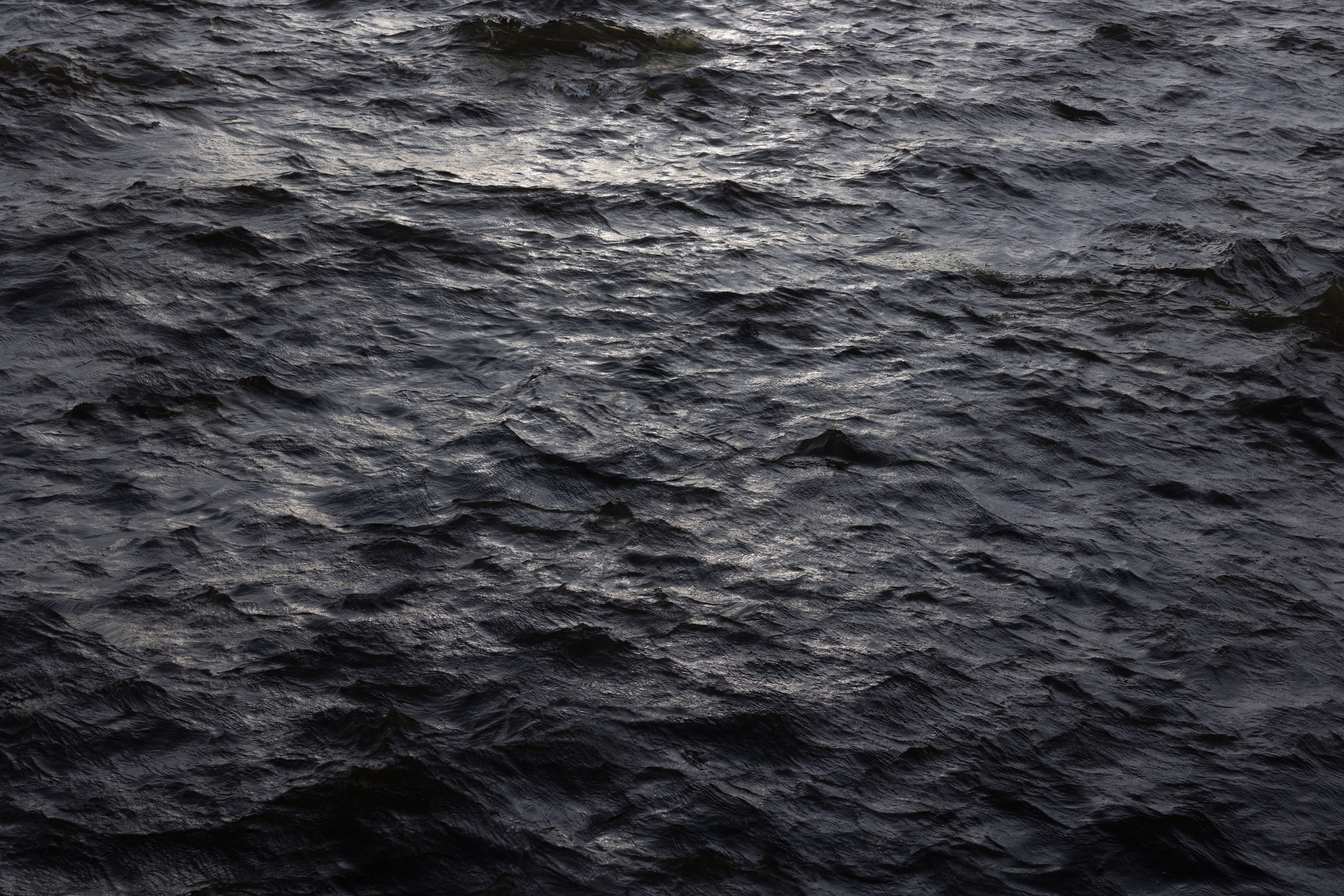 Art prints. Фотограф алина стерхова, алина стерхова фотограф, фотограф москва