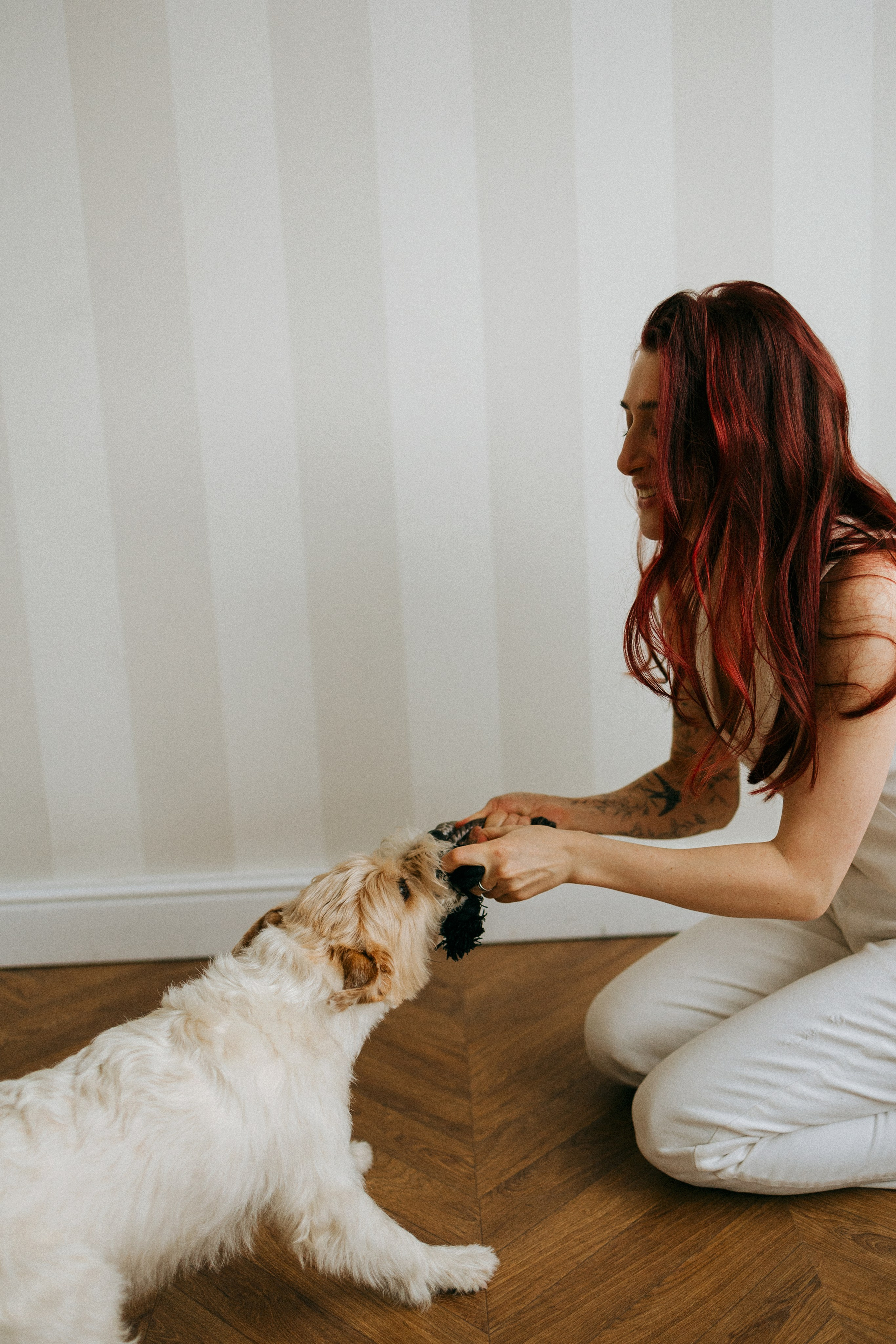 Цунами, Теон и Женя. Фотограф анималист Анастасия Пикей