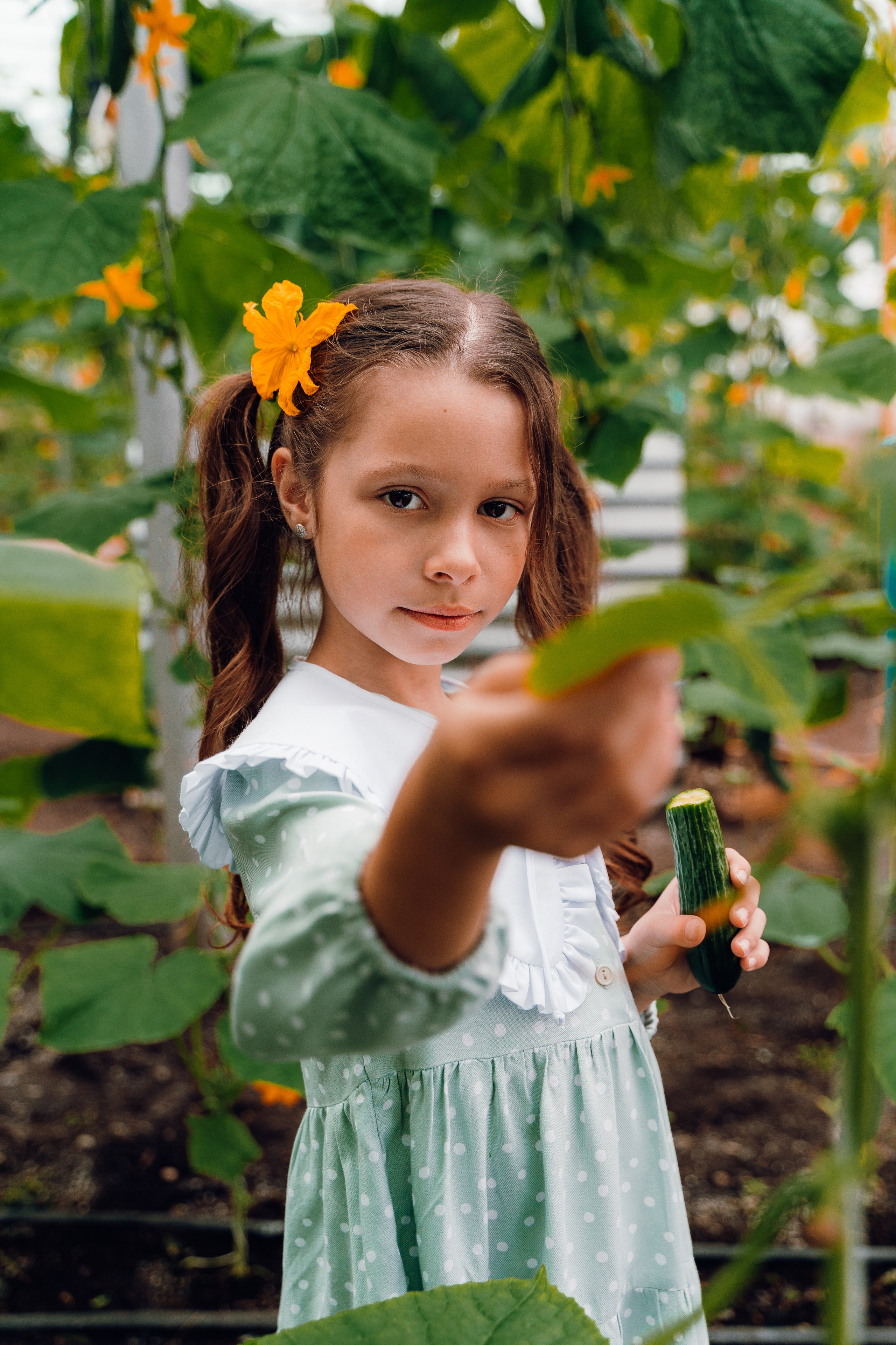 Огуречная история. Семейный и свадебный фотограф в Бугуруслане Екатерина Ронжина