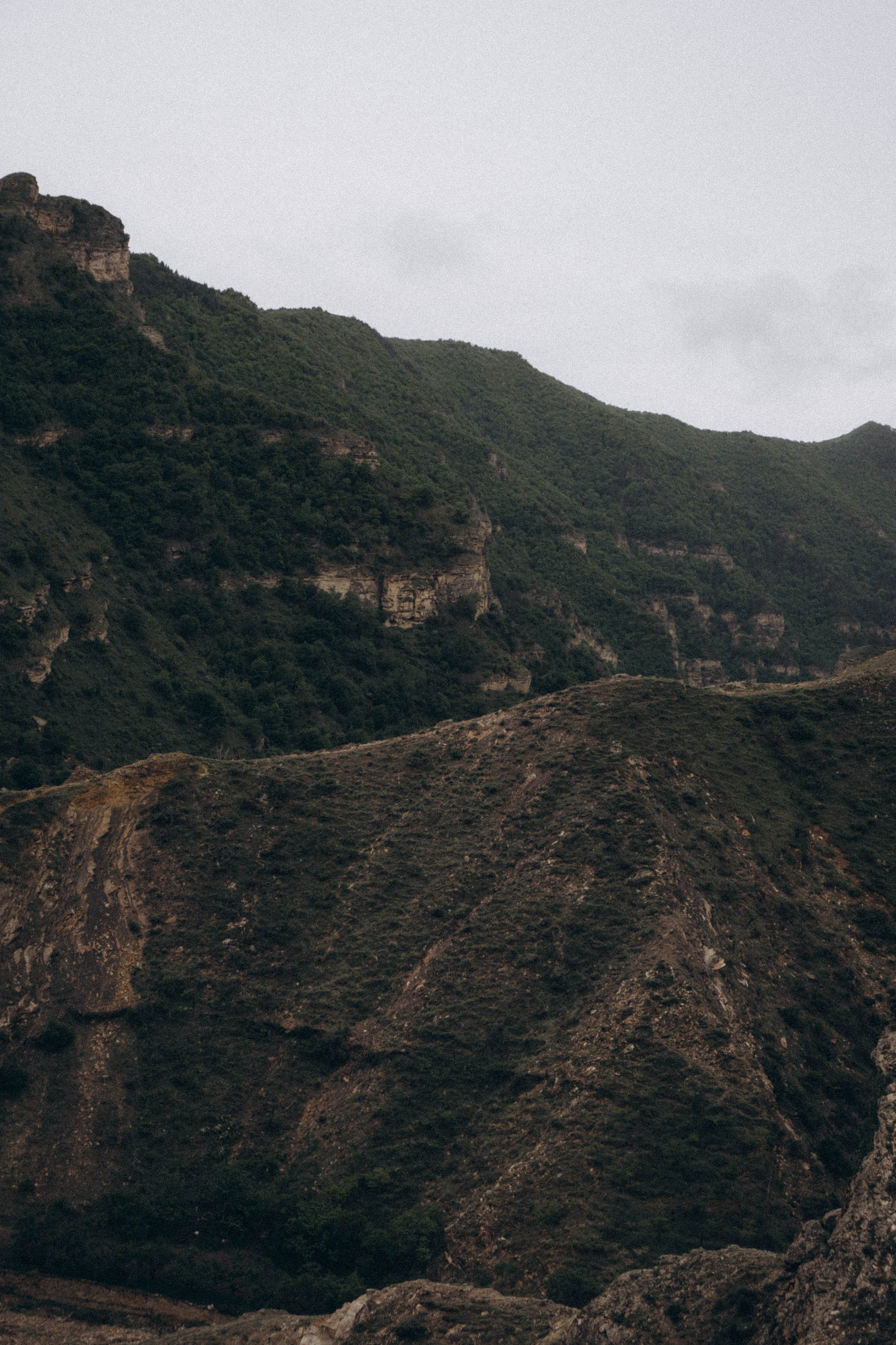 Кавказ. Профессиональный фотограф, Санкт-Петербург — Виктория Богомолова