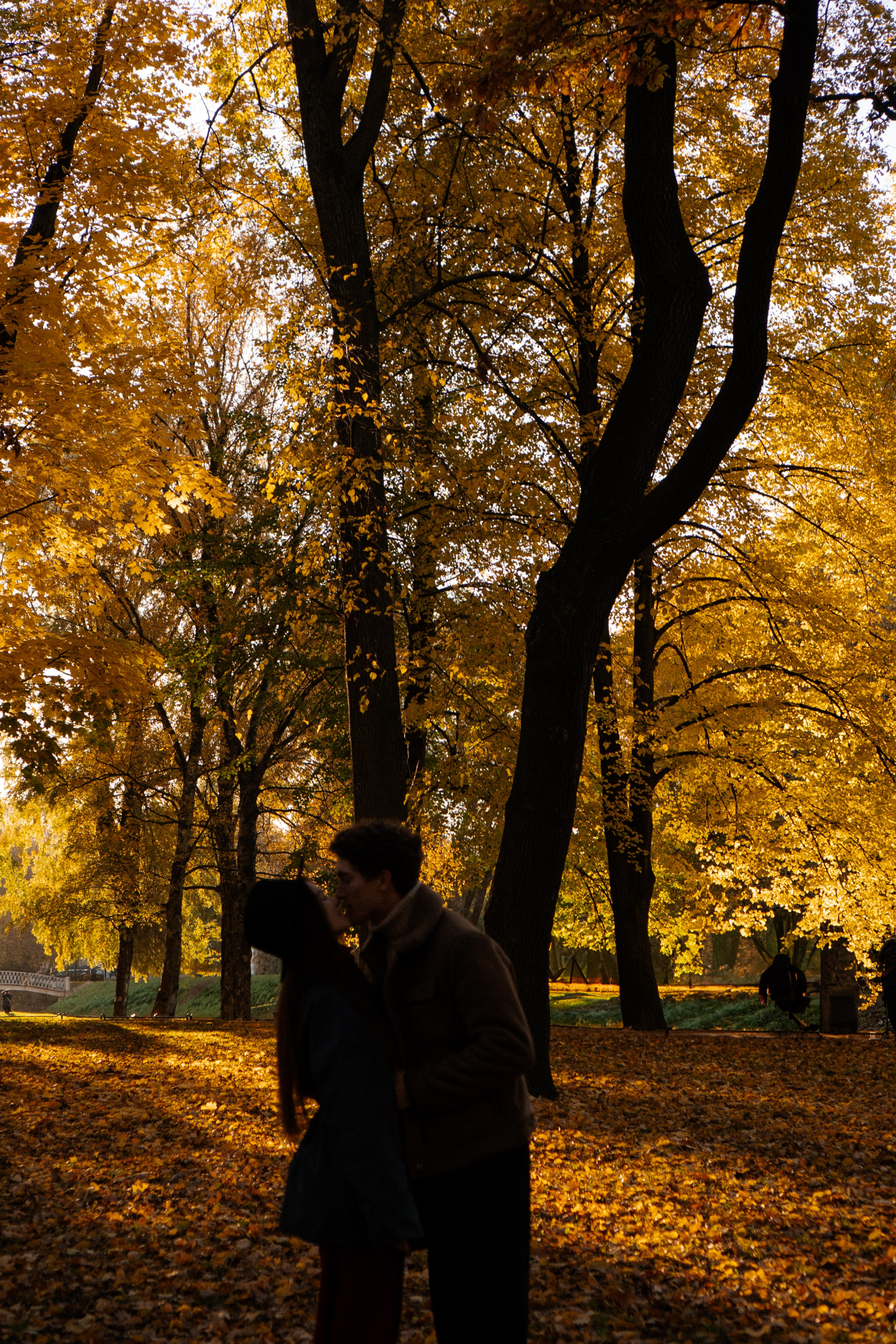 ОСЕННЯЯ ПРОГУЛКА. Профессиональный фотограф, Санкт-Петербург — Виктория Богомолова