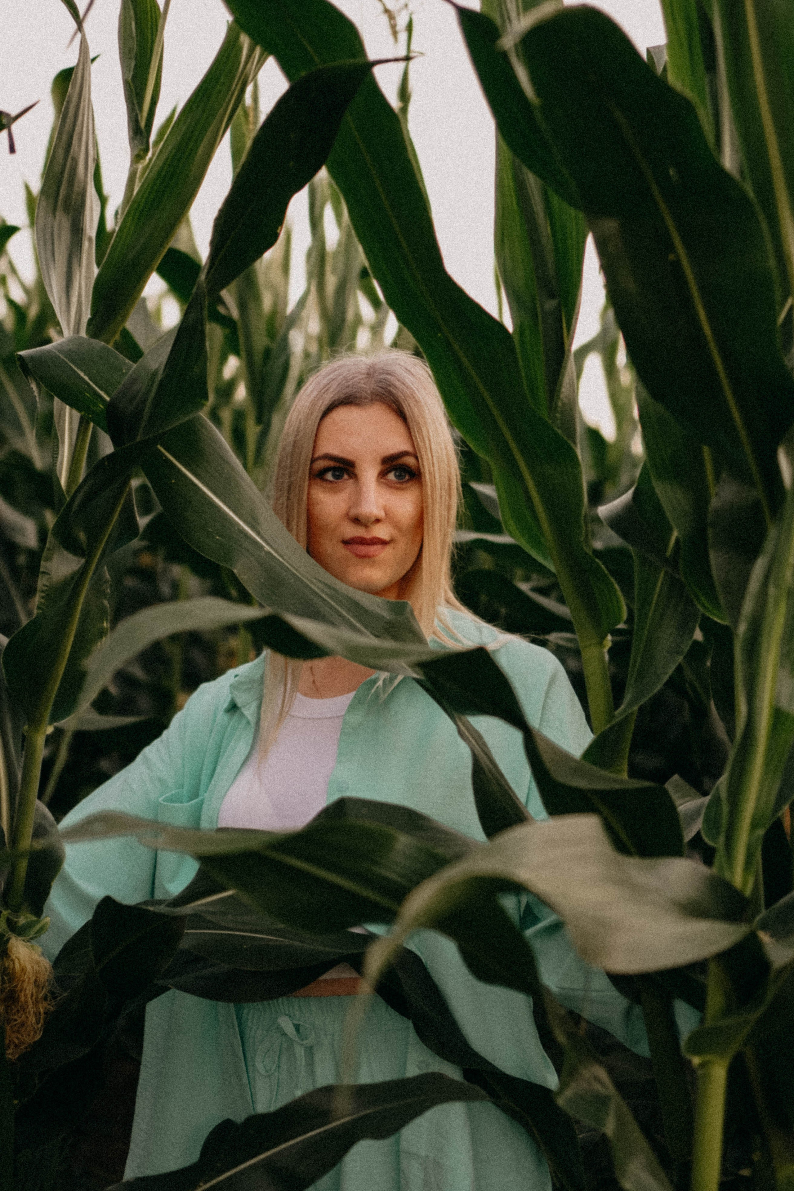 Летний вечер. Профессиональный фотограф, Санкт-Петербург — Виктория Богомолова