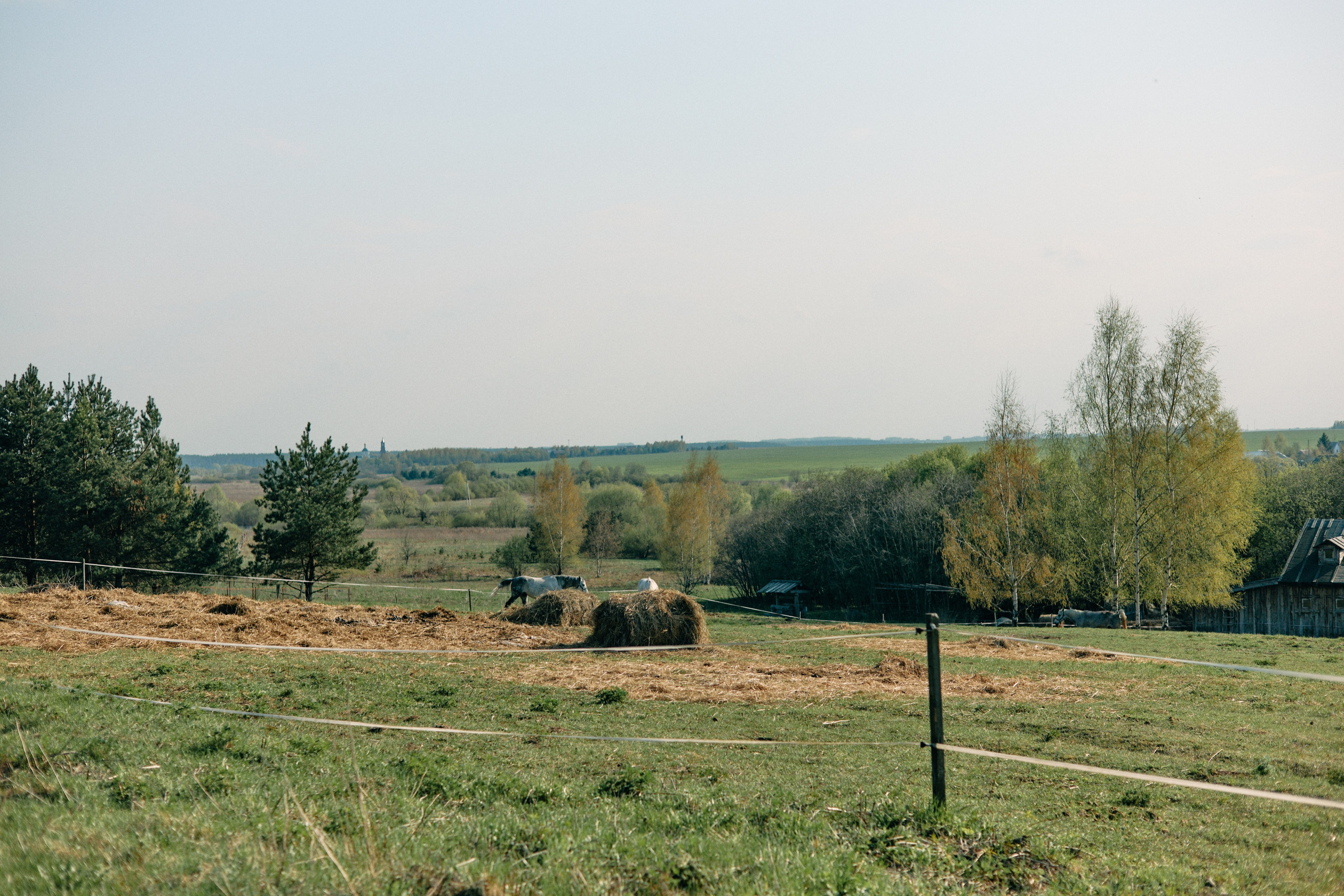Бутик-отель Поле летом. Профессиональный Фотограф во Владимире, в Москве и в Суздале — Полина Романычева