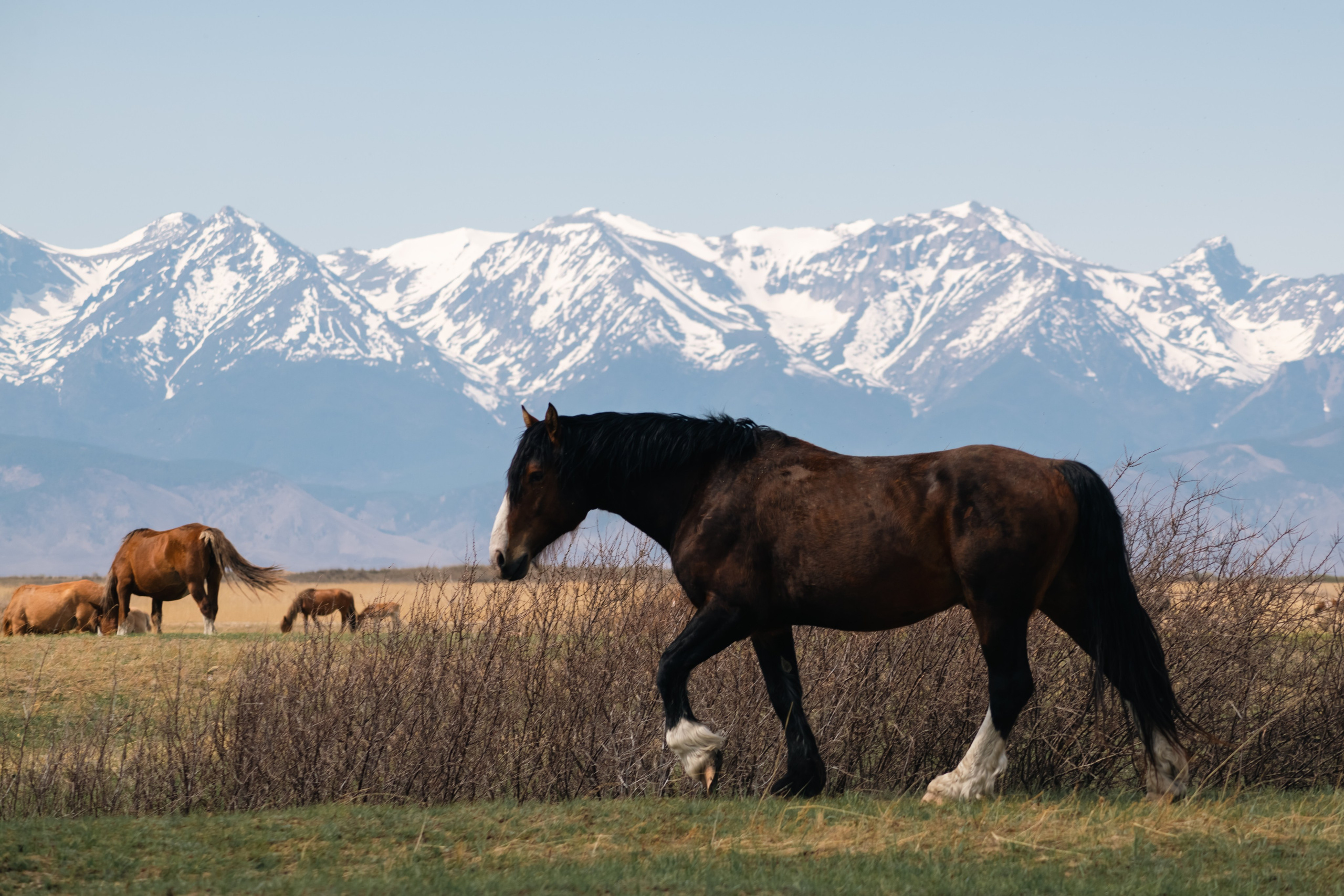Сувинская саксония, Максимиха. Фотограф и видеооператор в Туле | Даниил Рыбак
