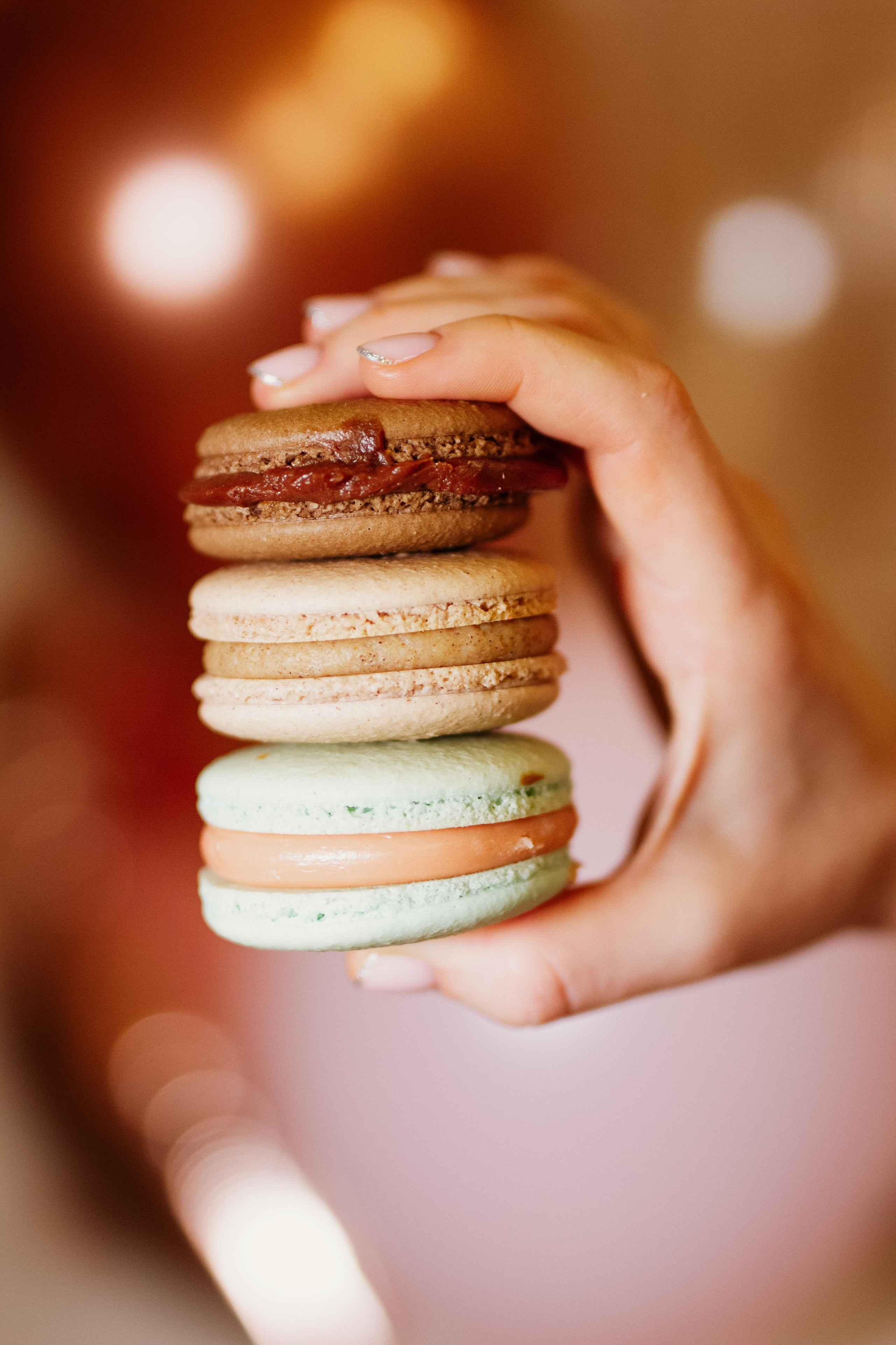 Tortland.rf. Фотограф в Москве Анастасия Курлович