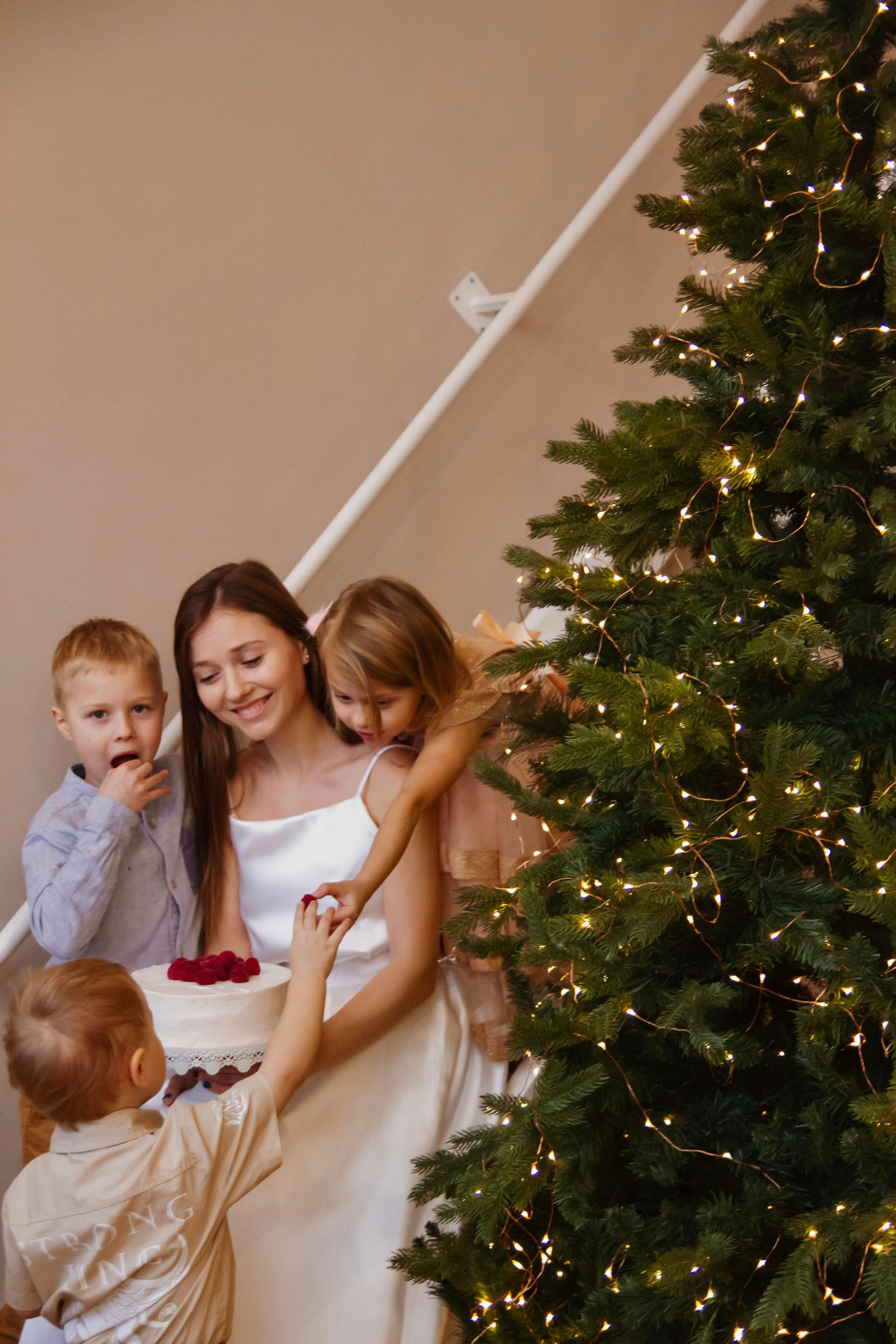 Tortland.rf. Фотограф в Москве Анастасия Курлович