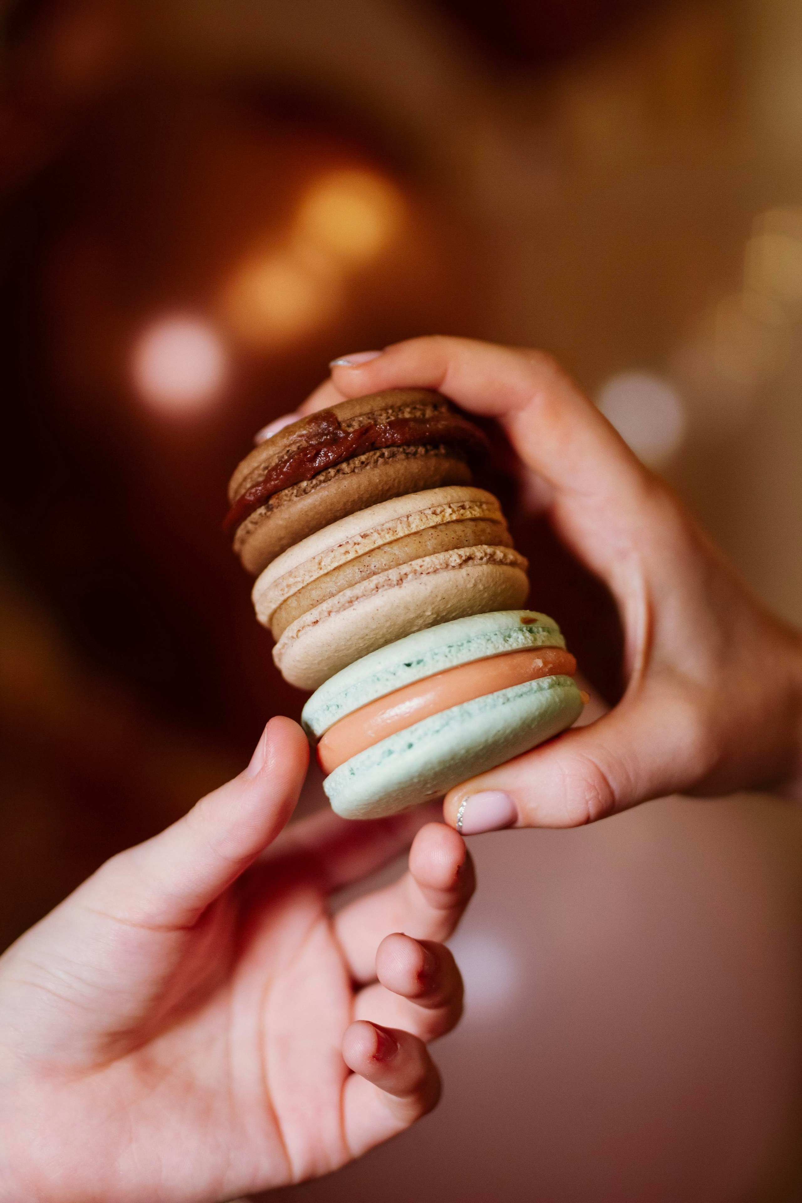 Tortland.rf. Фотограф в Москве Анастасия Курлович