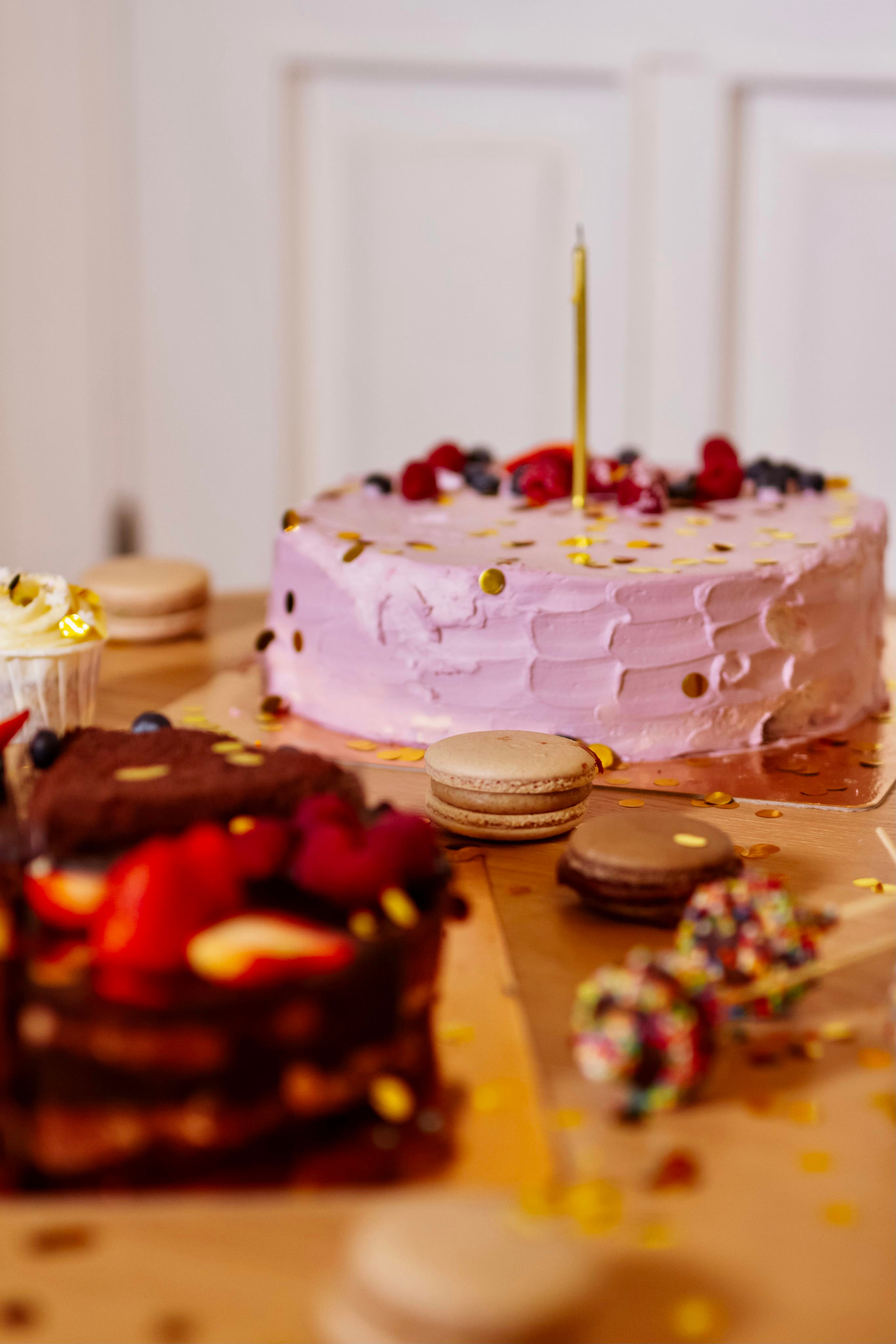 Tortland.rf. Фотограф в Москве Анастасия Курлович