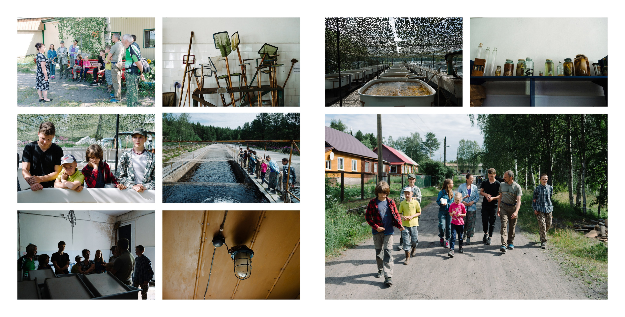 Белое море. Фотограф Алиса Калинина