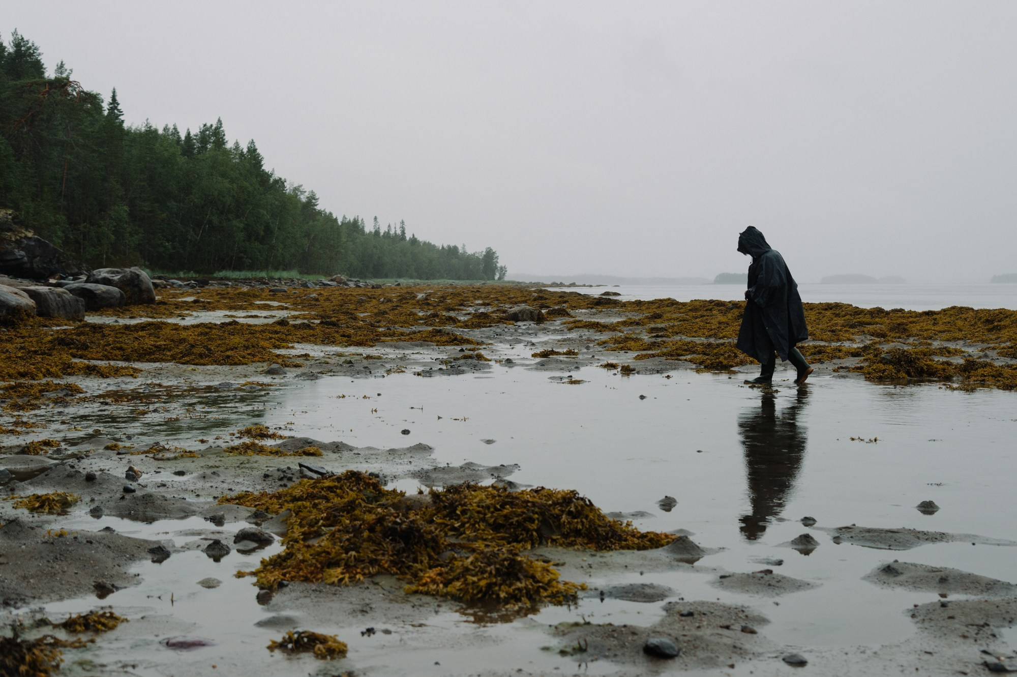 Белое море биологи. Фотограф Алиса Калинина