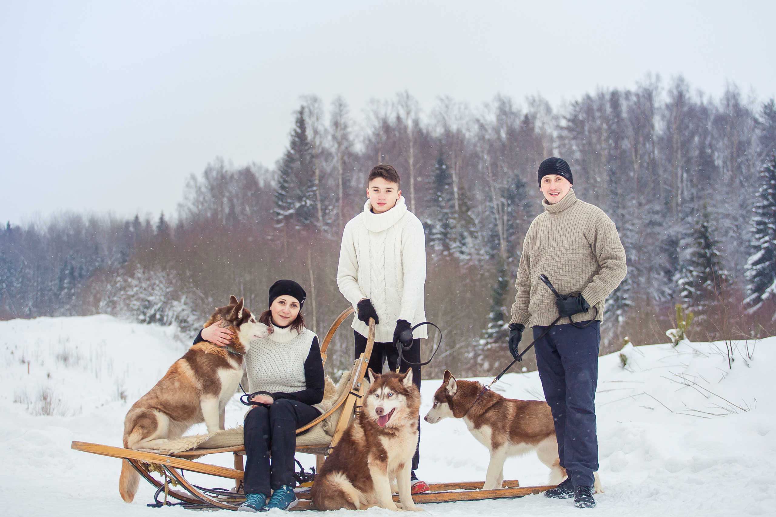 Катание на хаски в Спб