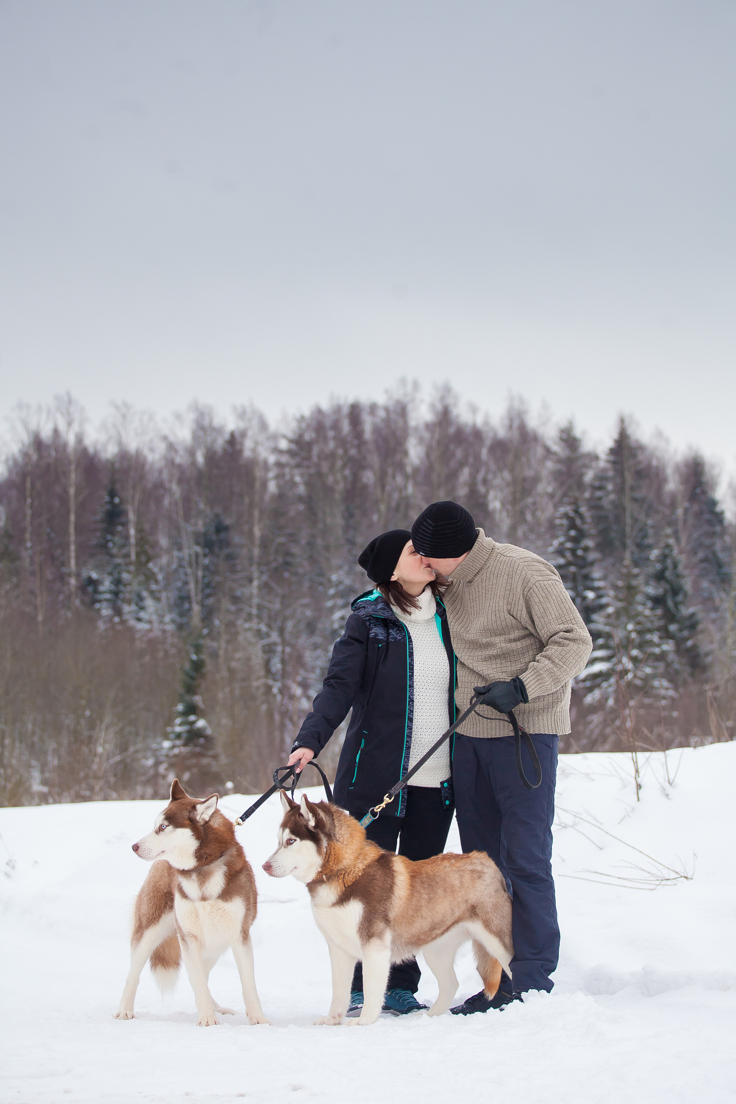Катание на хаски в Спб