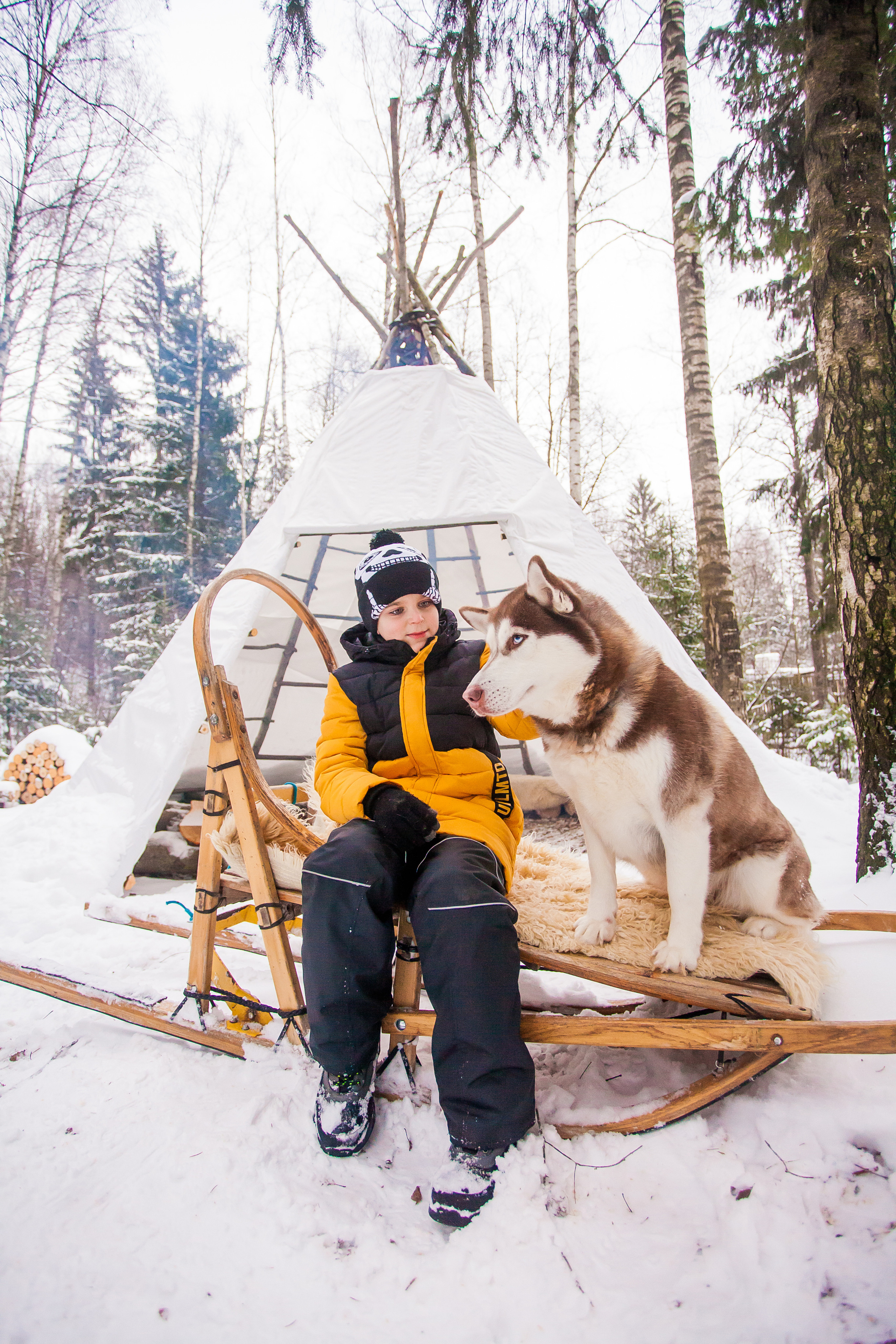 Катание на хаски в Спб