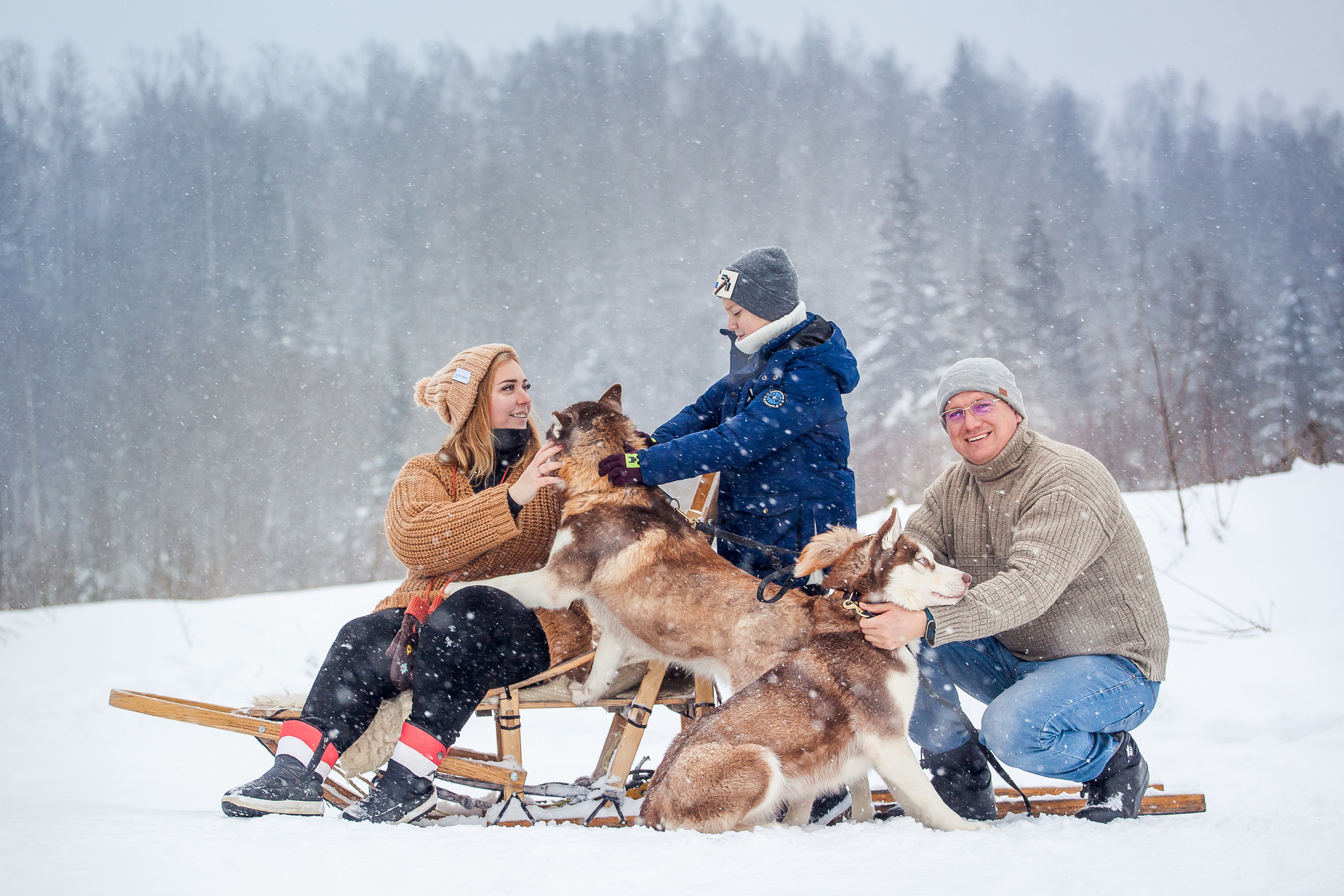 Катание на хаски в Спб