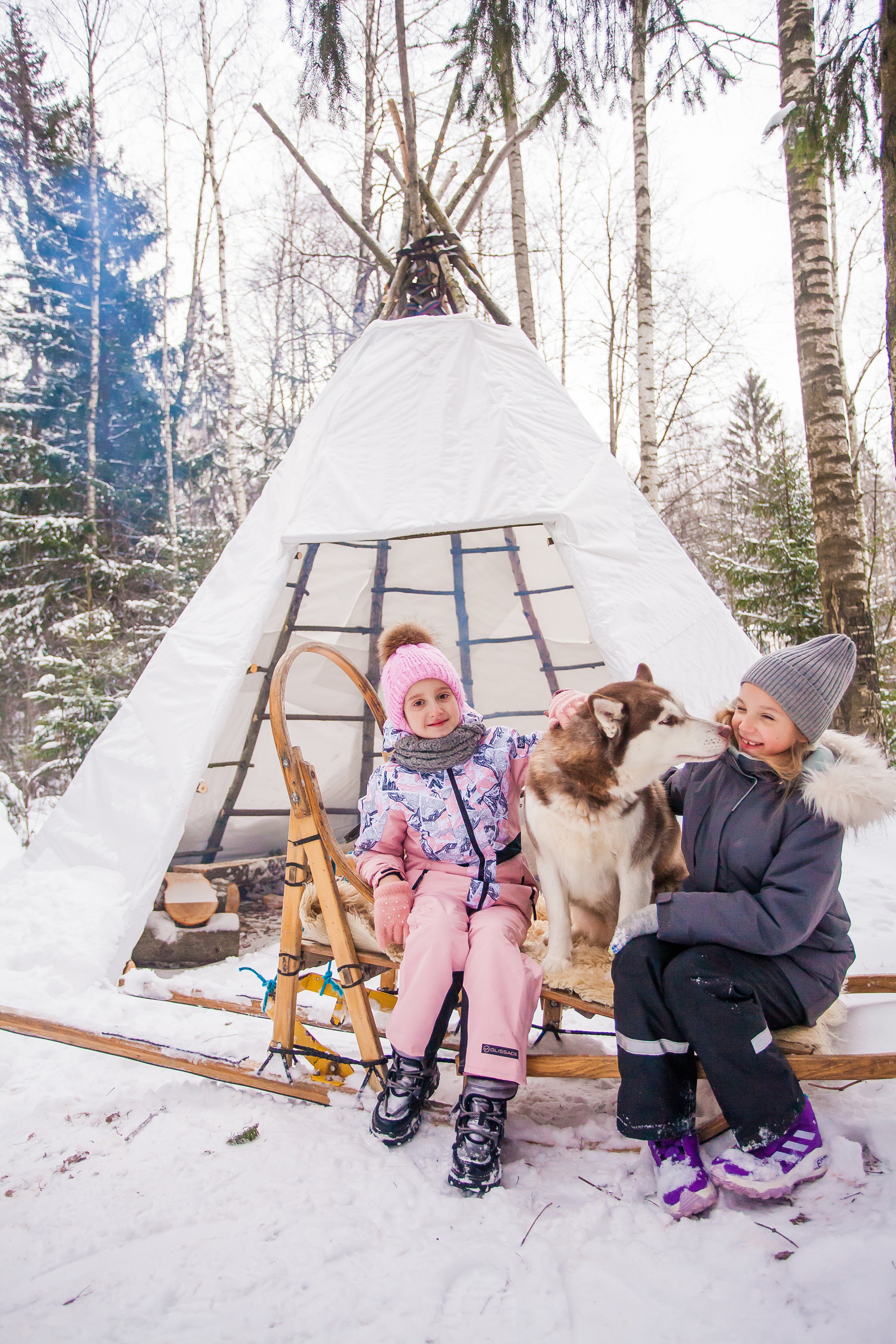Катание на хаски в Спб