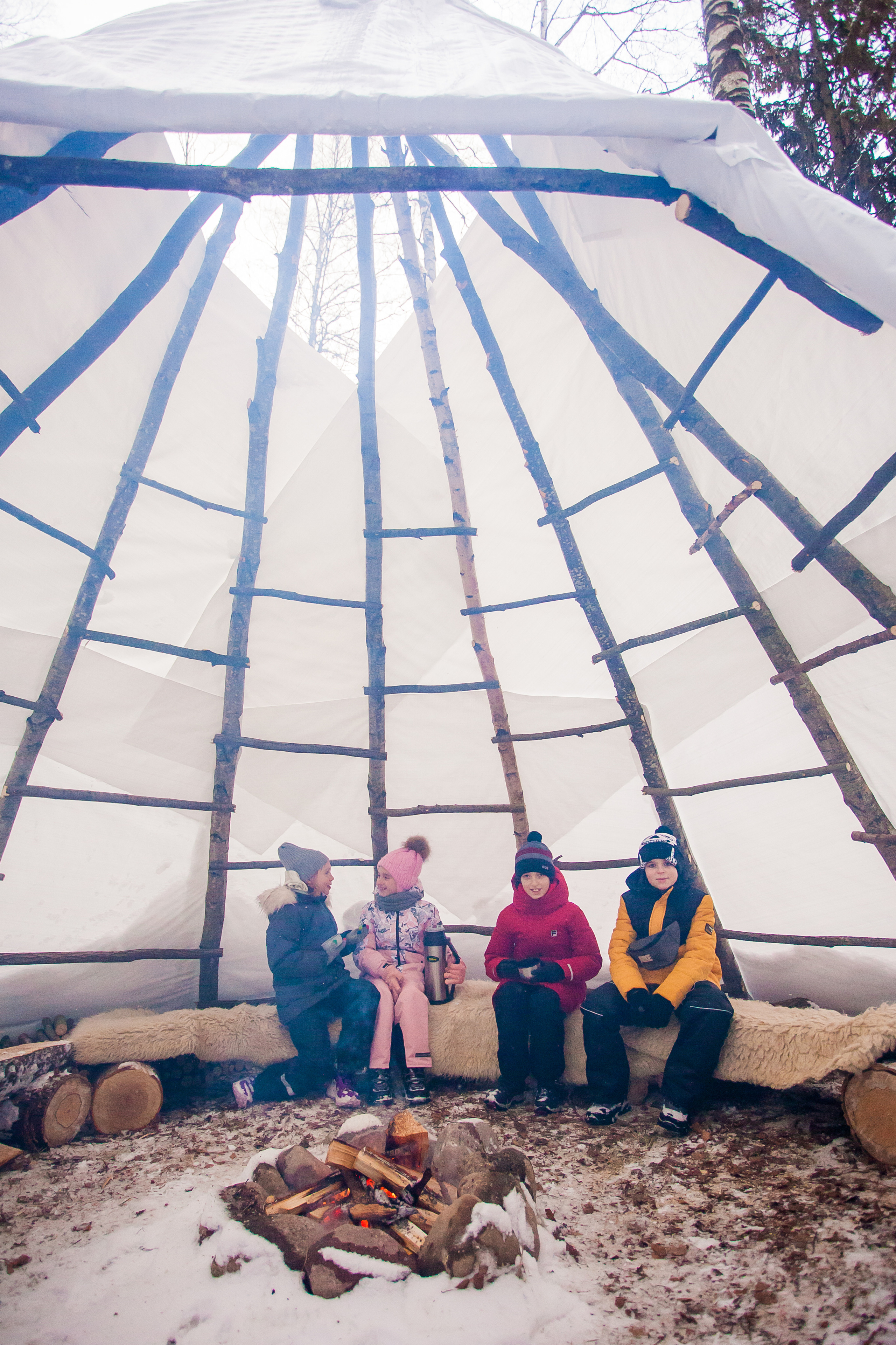 Катание на хаски в Спб