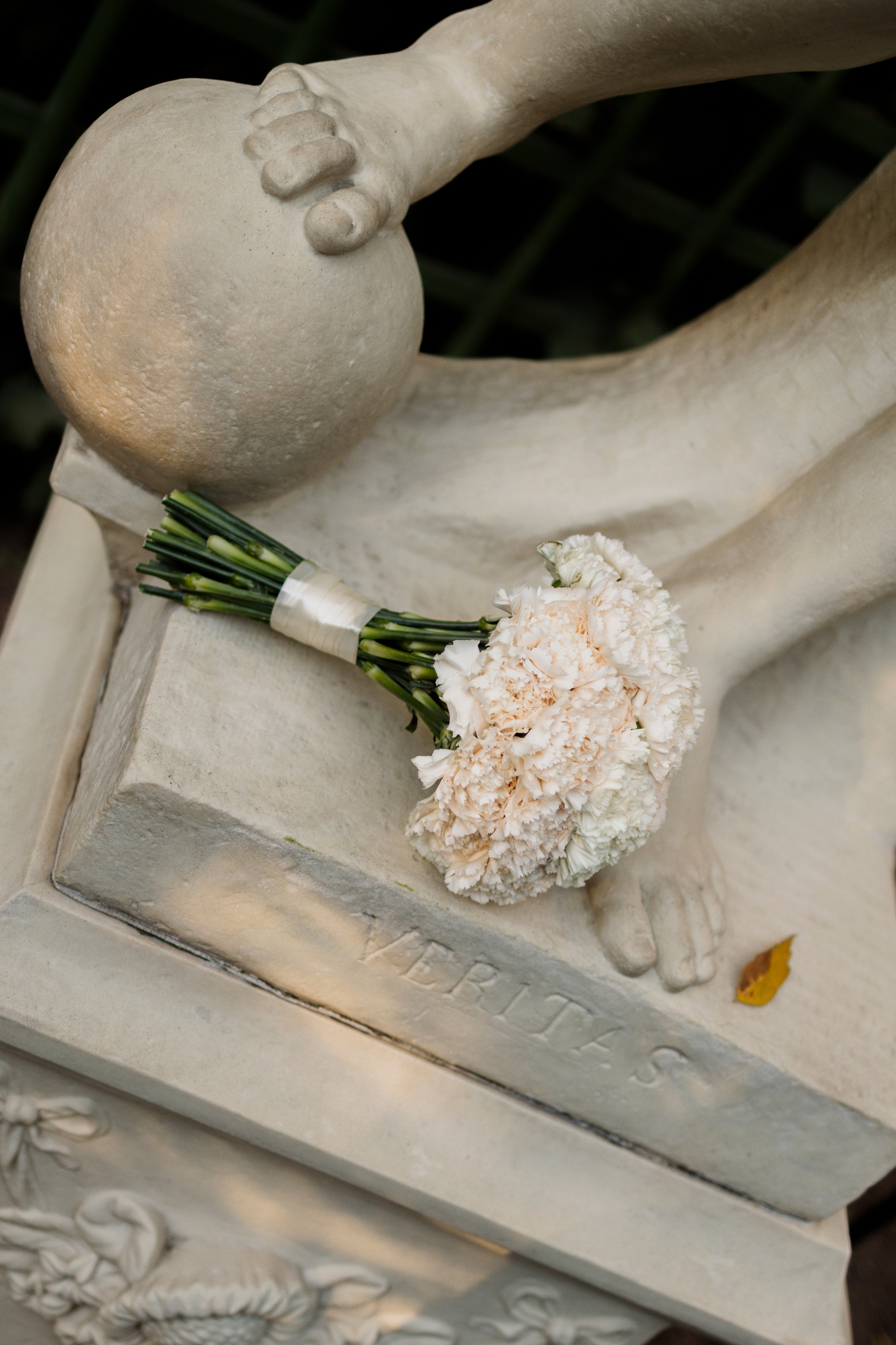 A&N. Свадебный фотограф Лиза Макатович Беларусь Минск