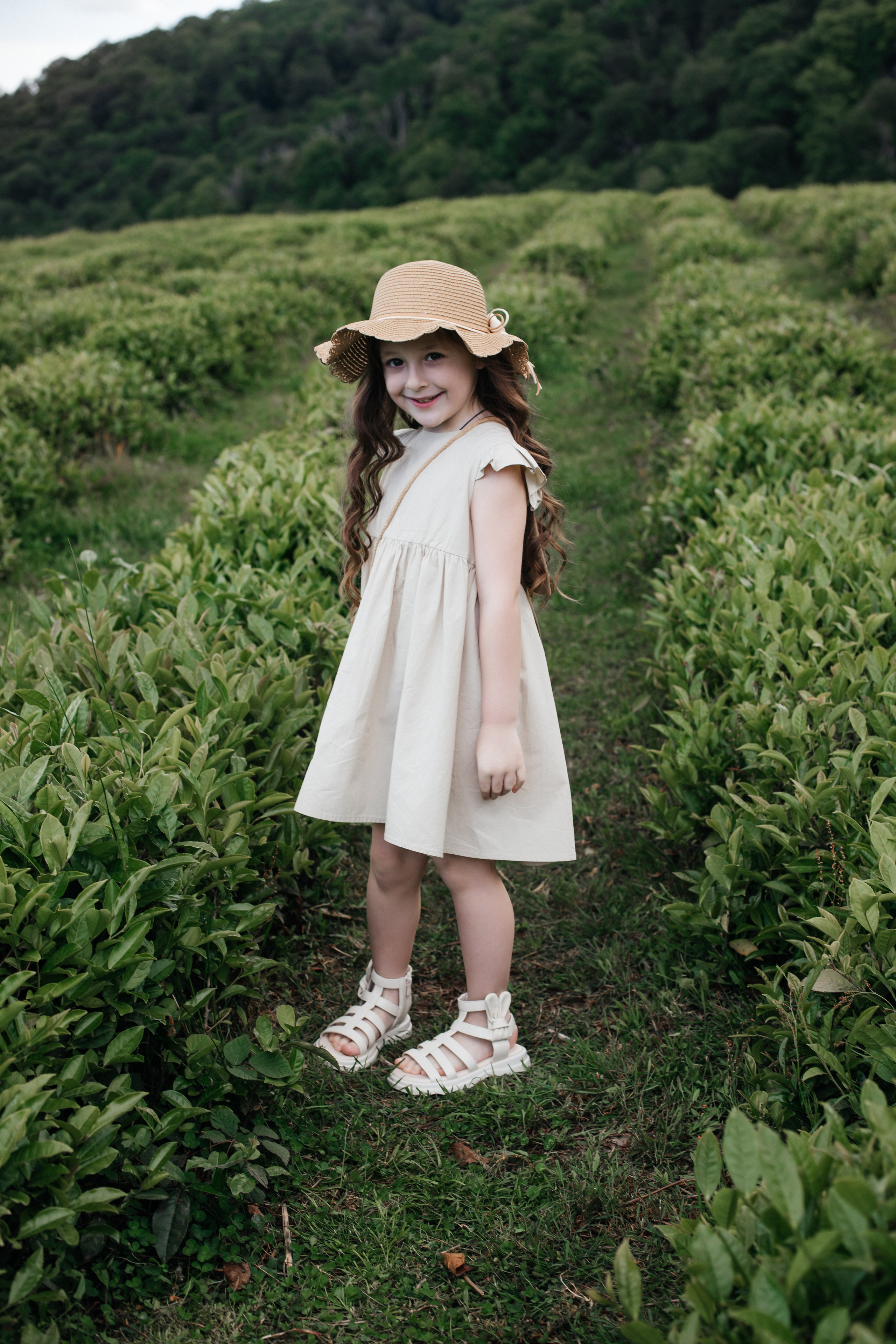 Tea plantation. Efimova Model Agency