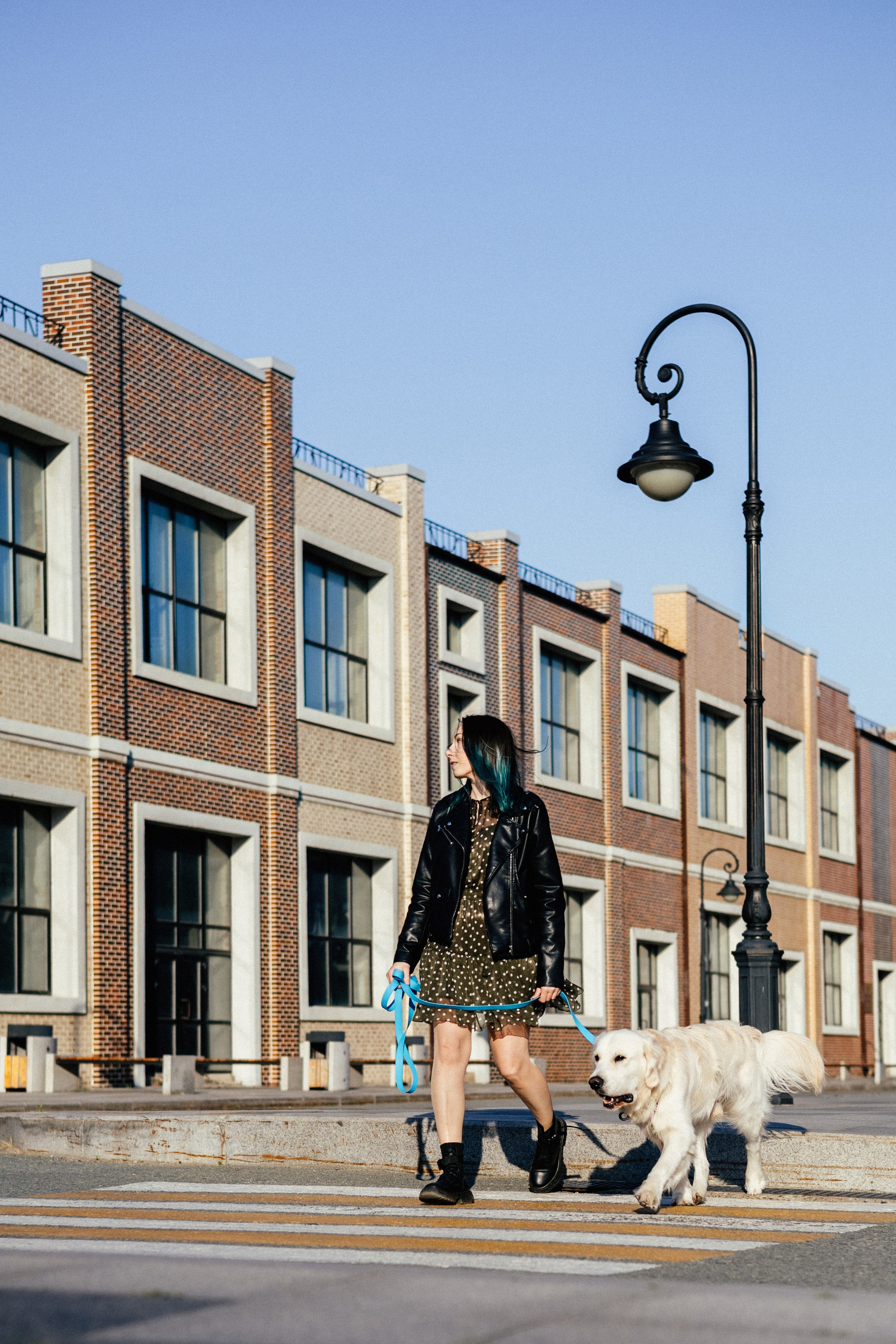 Ира и Байрон. Фотограф — анималист Владивосток, Алина