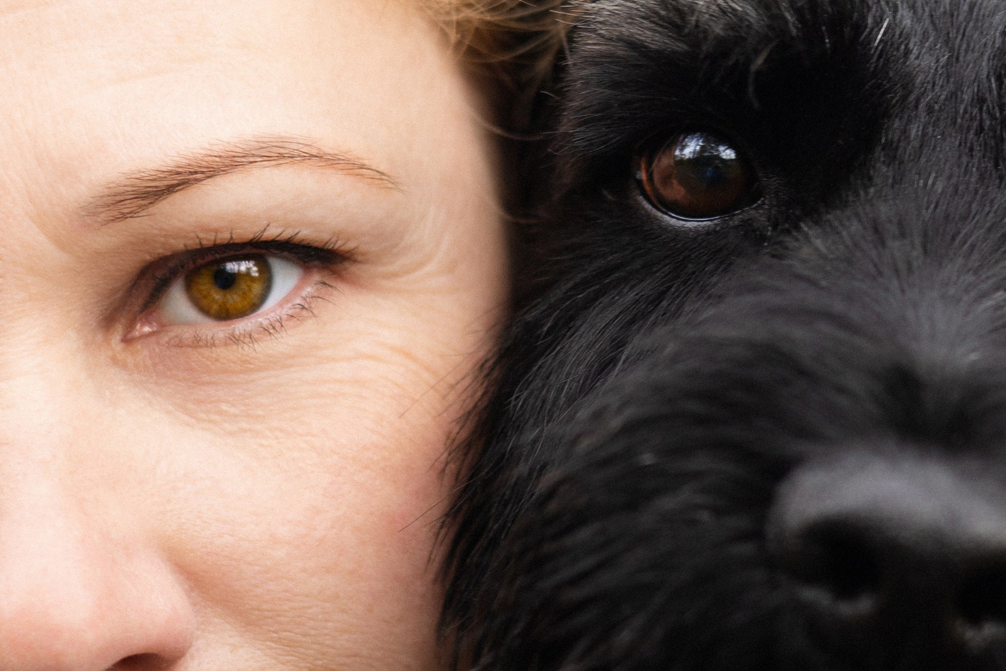 Екатерина и Вольт. Фотограф — анималист Владивосток, Алина