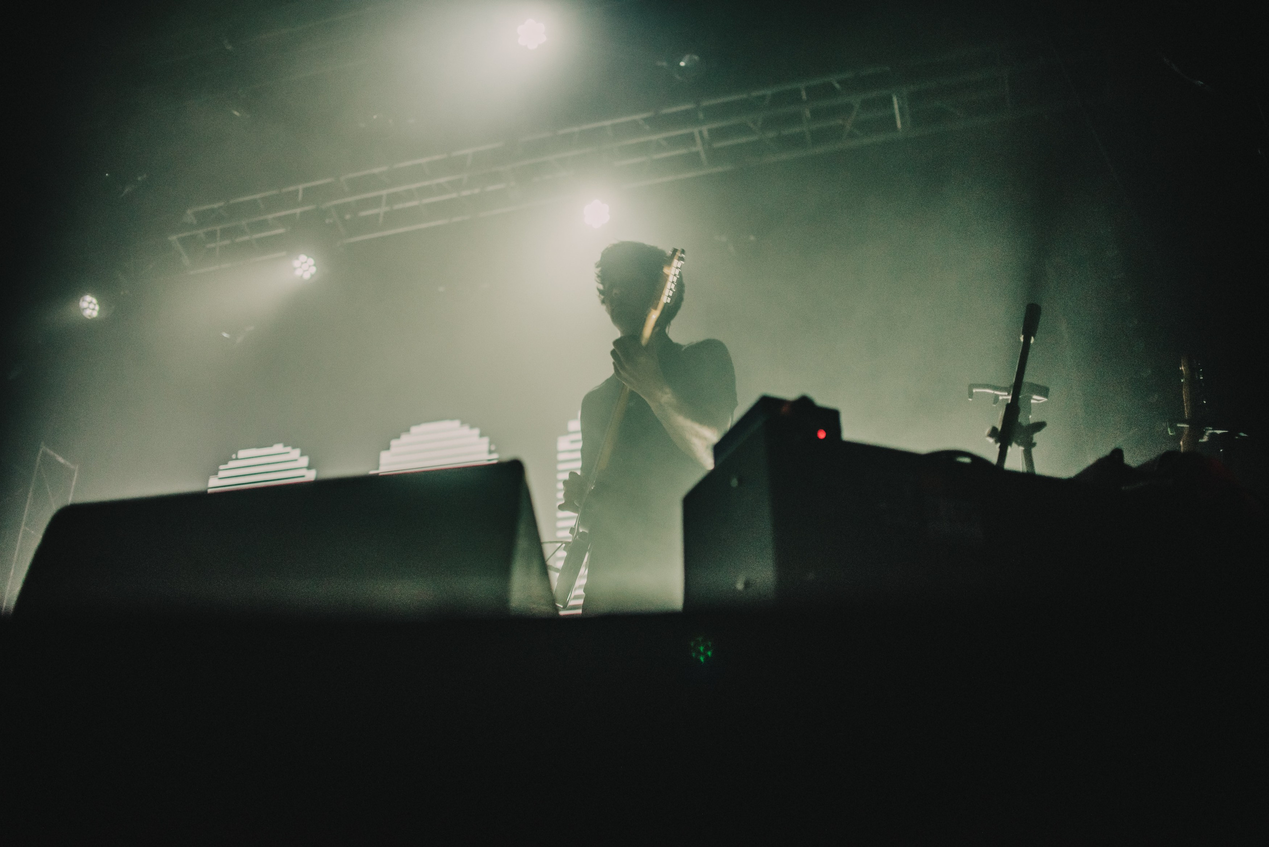 Дельфин | Gaudi. Контент фотограф Илья Урс