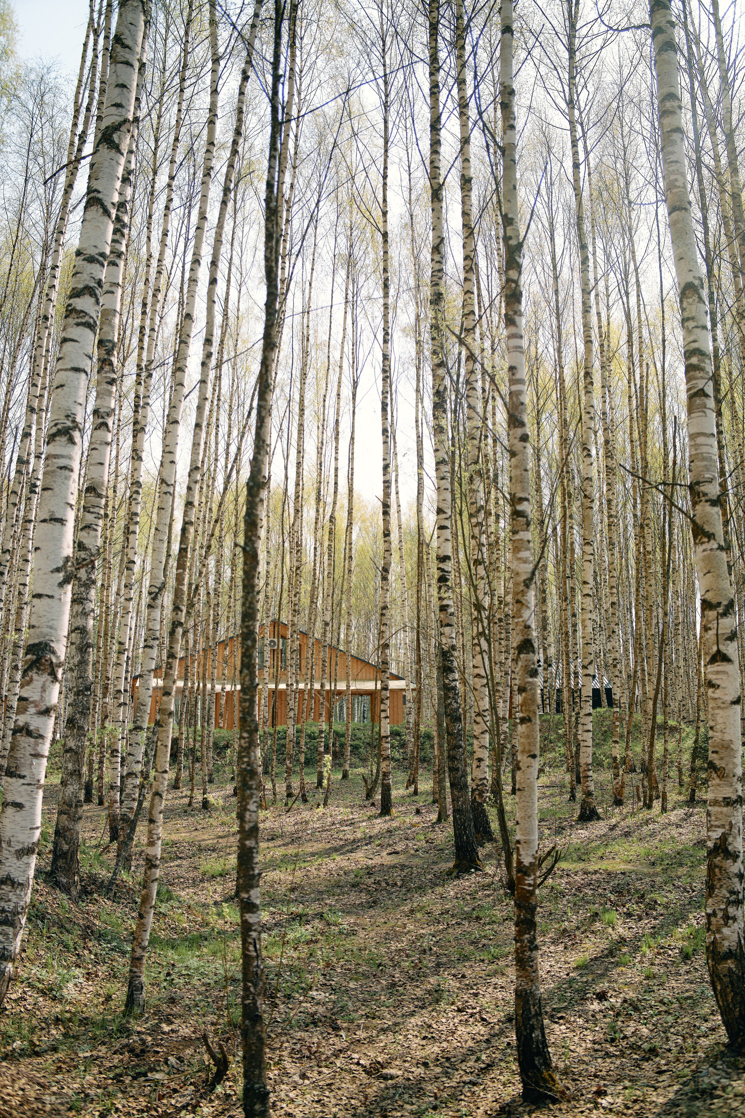 Бутик-отель Поле летом. Профессиональный Фотограф во Владимире, в Москве и в Суздале — Полина Романычева