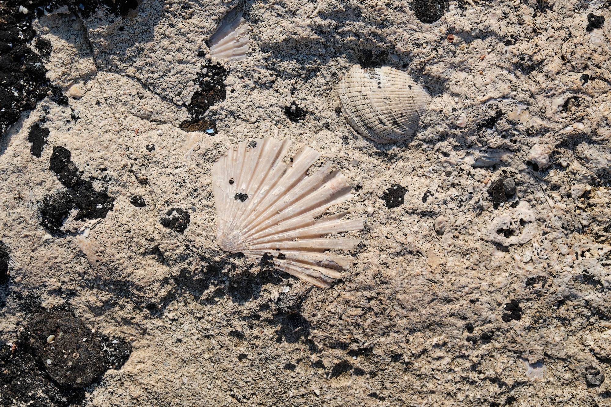 Крит 2019. Репортажный фотограф Дмитрий Литвинский. Минск, Беларусь, мир